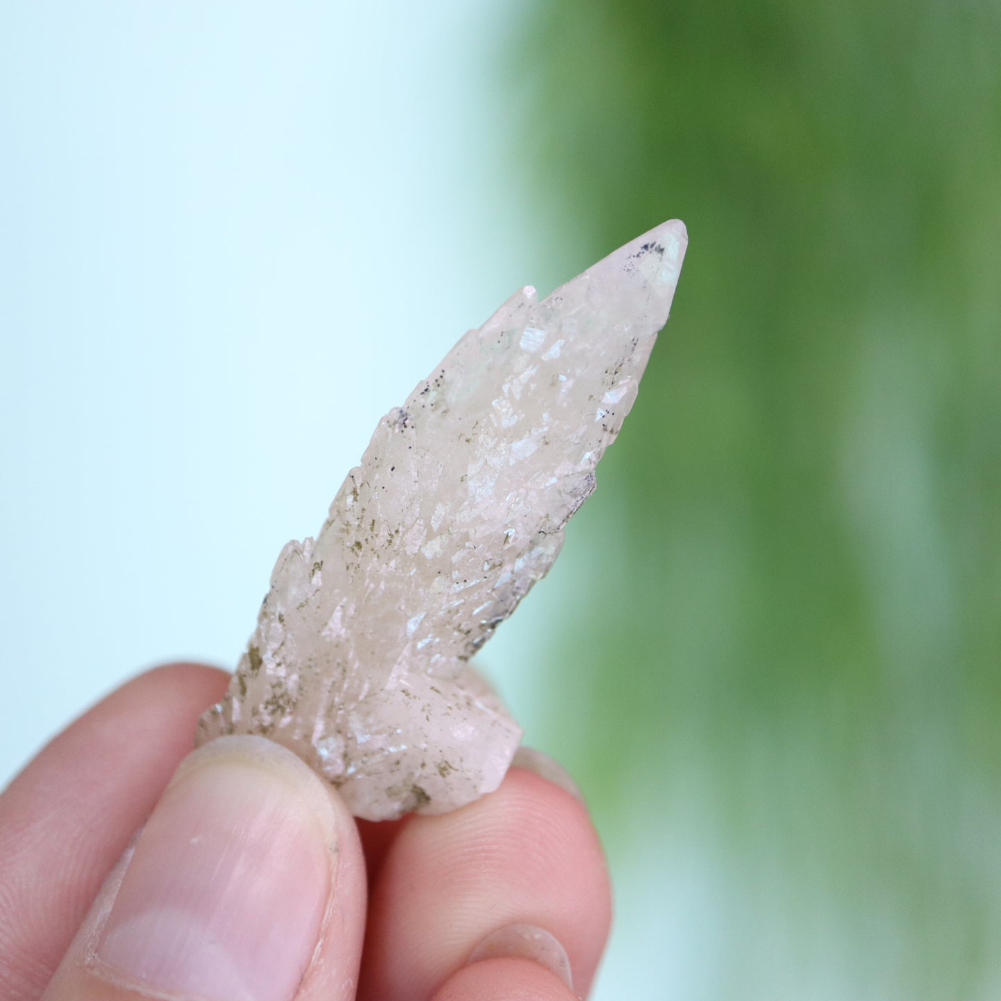 Feather calciet met pyriet UV