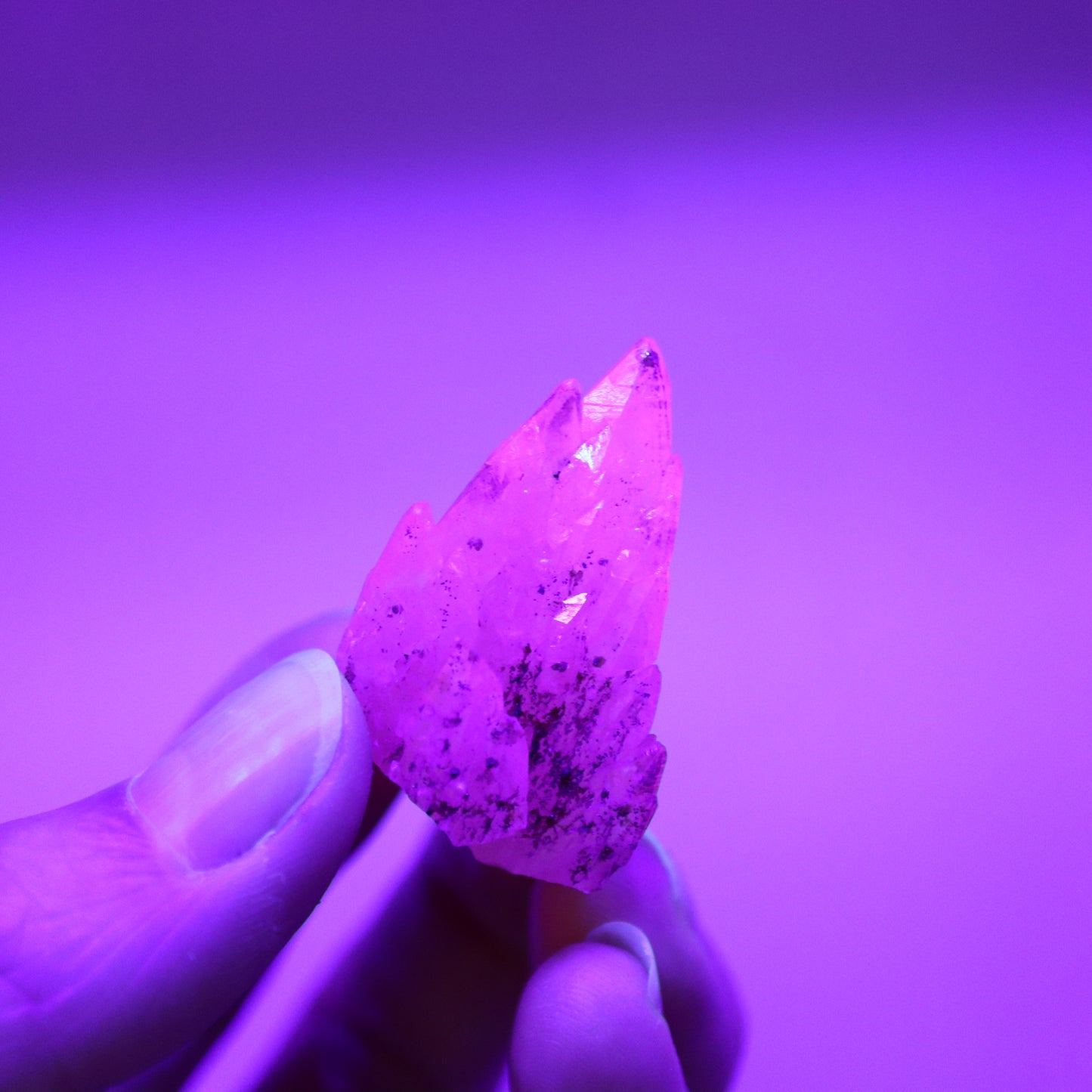Feather calciet met pyriet UV