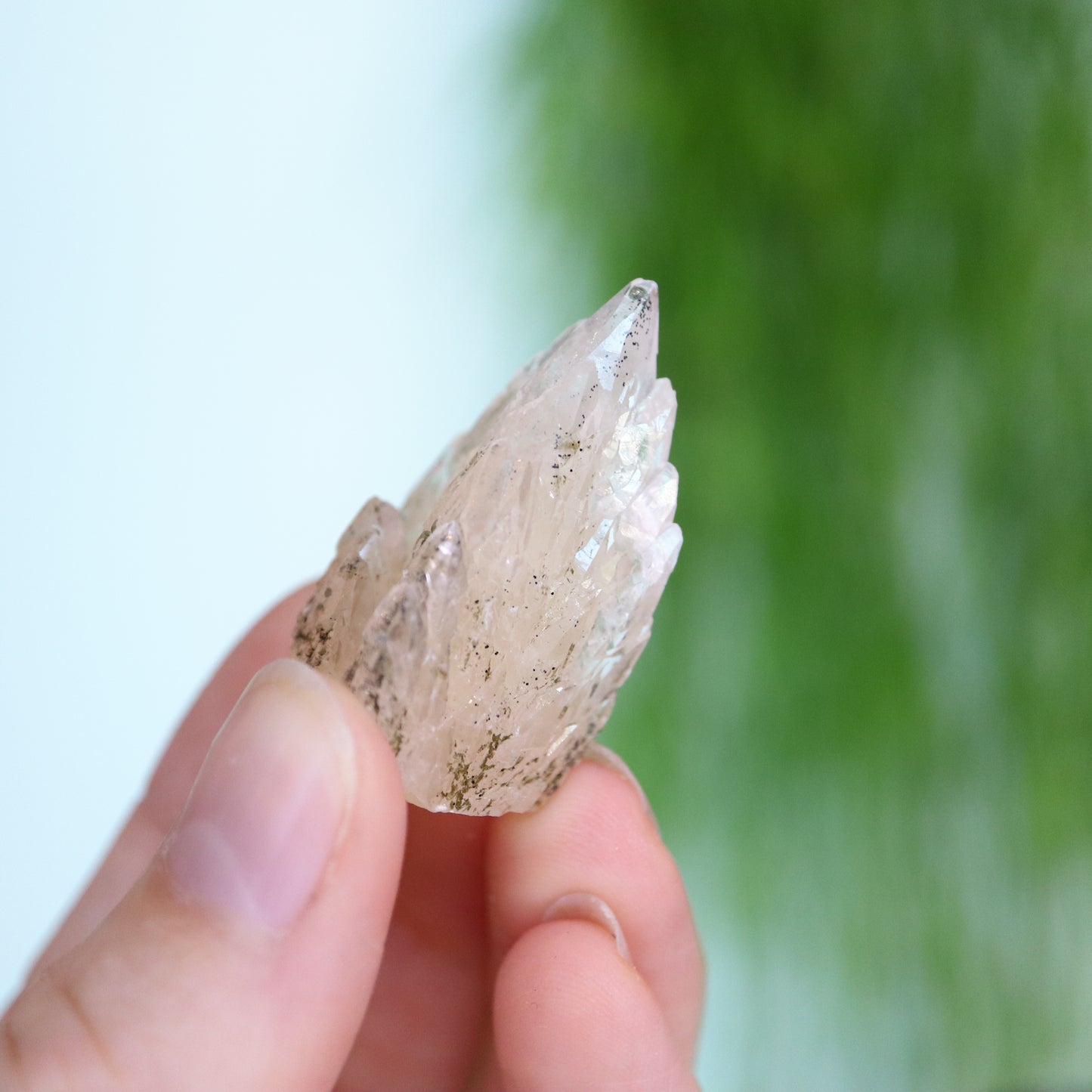 Feather calciet met pyriet UV