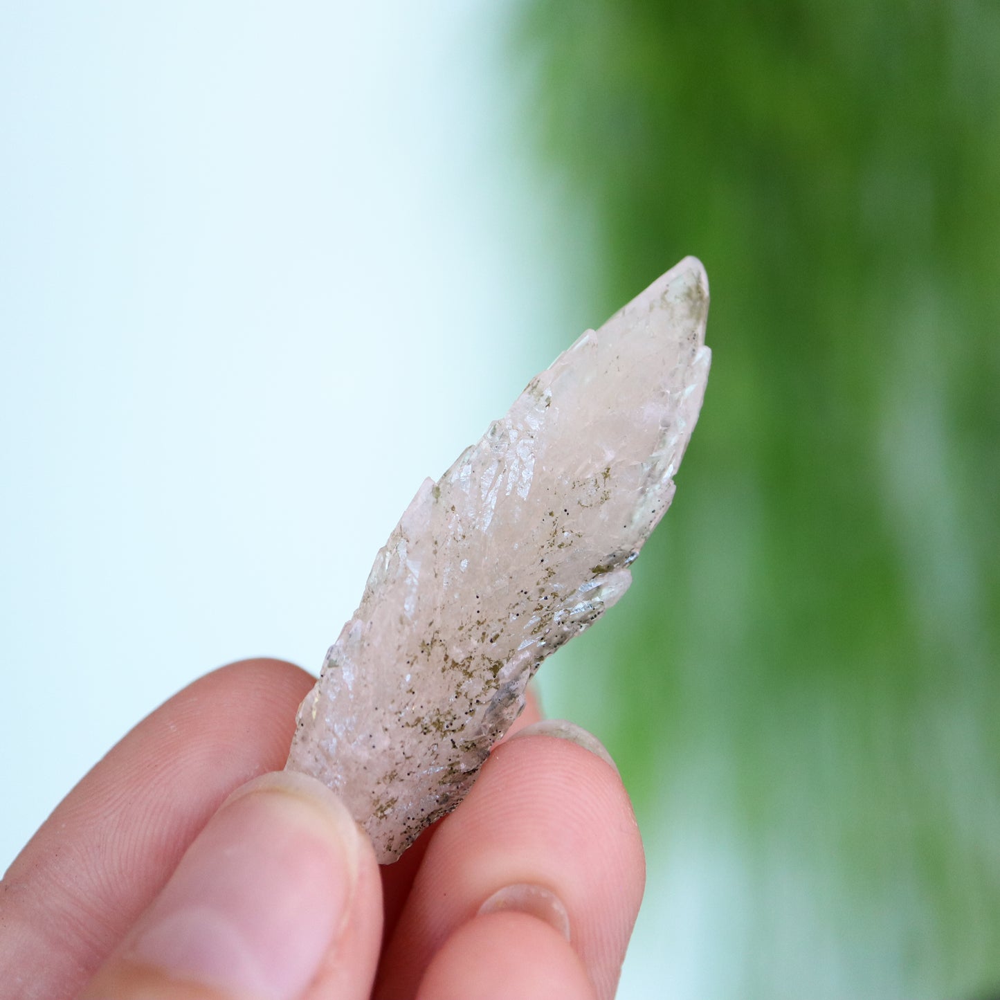 Feather calciet met pyriet UV