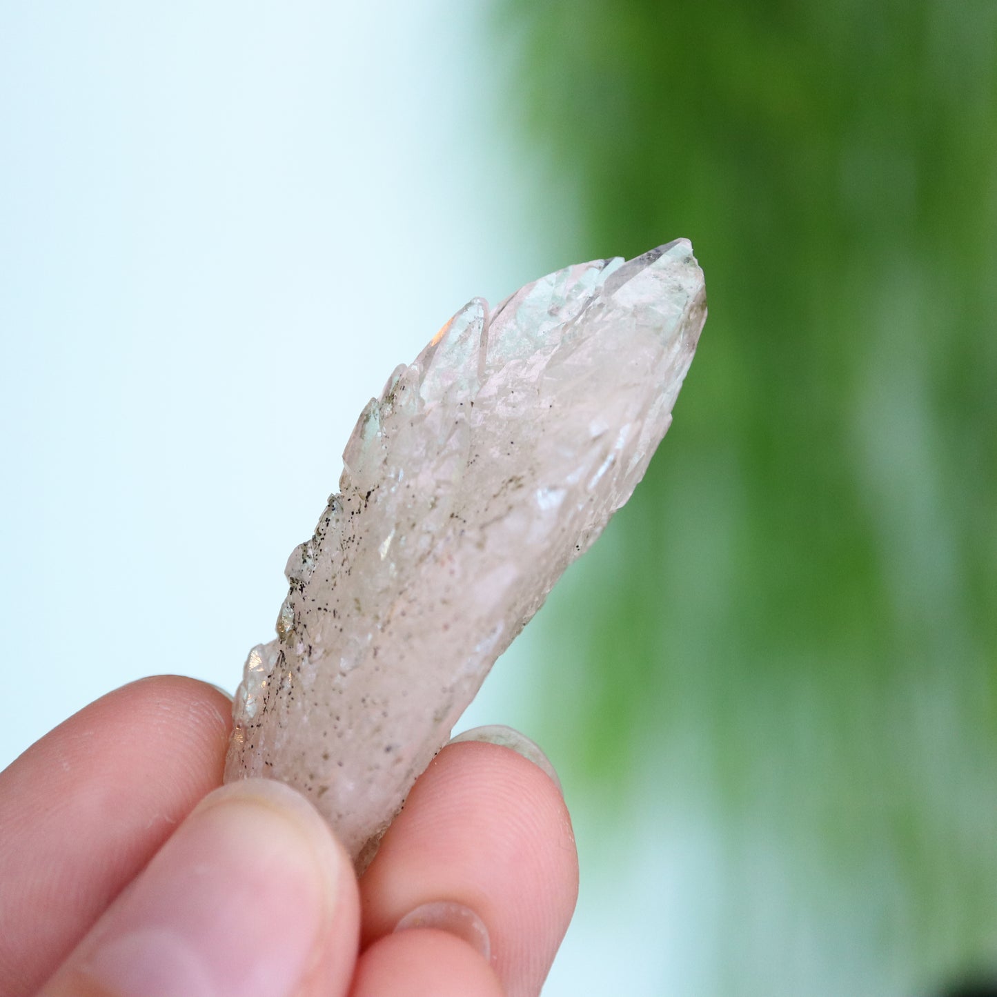 Feather calciet met pyriet UV