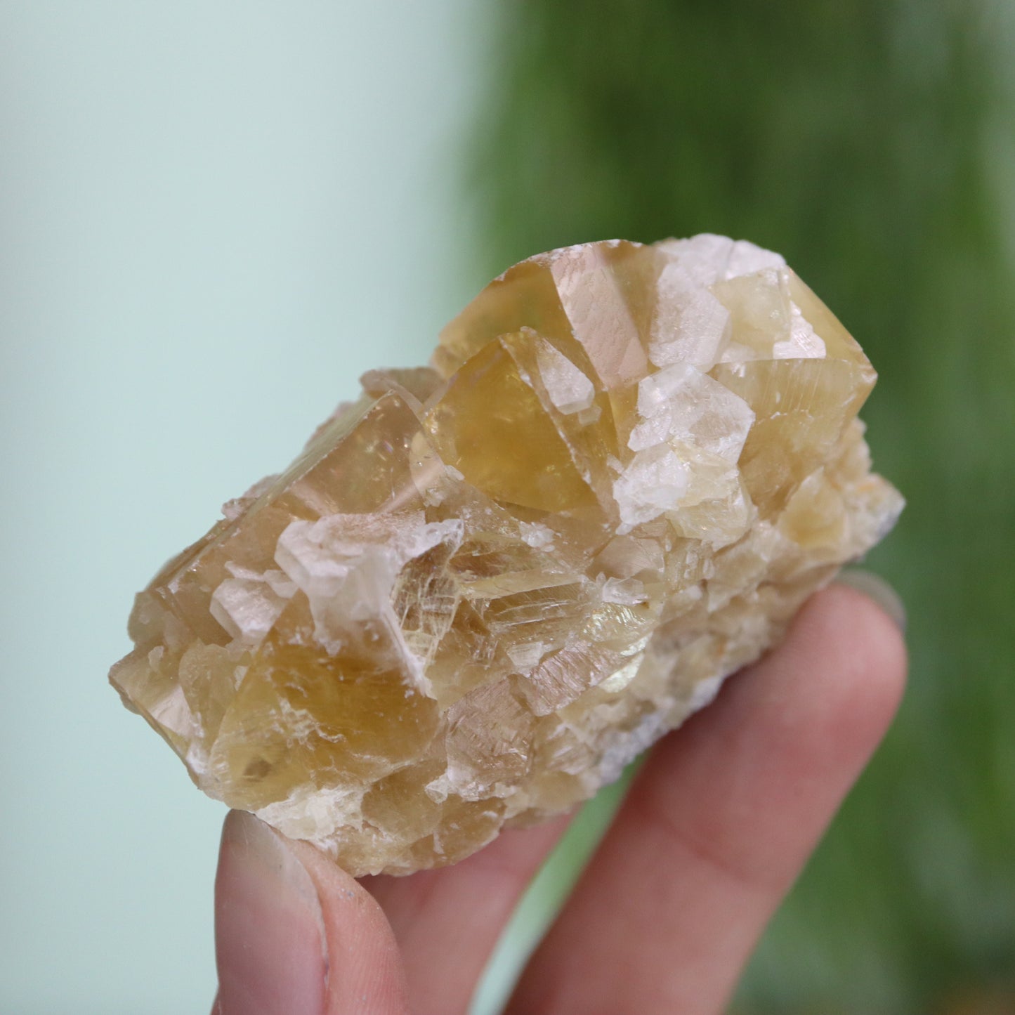 Honey calcite cluster UV