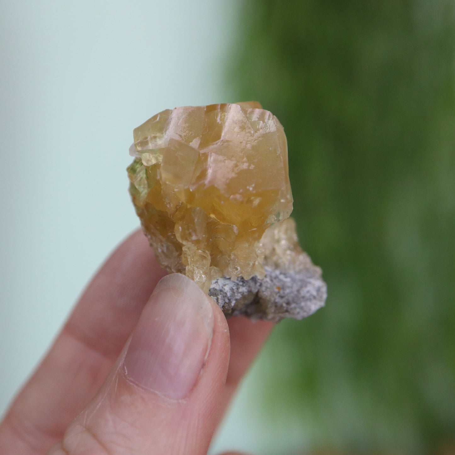 Honey calcite cluster UV