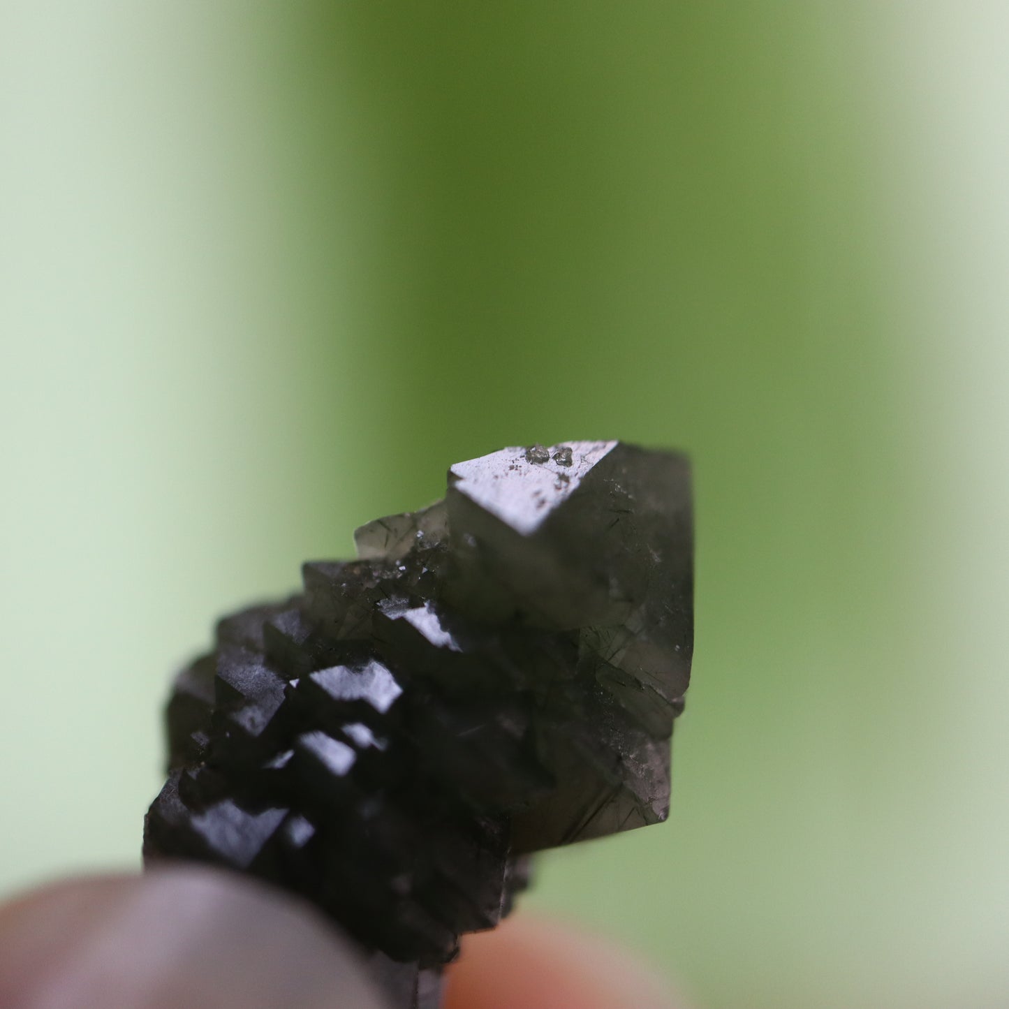 Groene Hedenbergiet kwarts