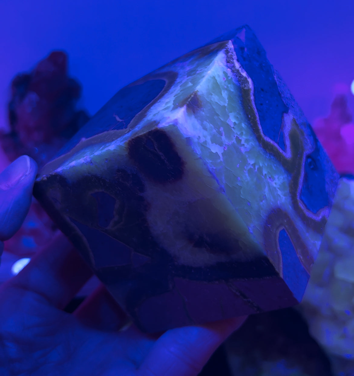 Septarie kubus UV