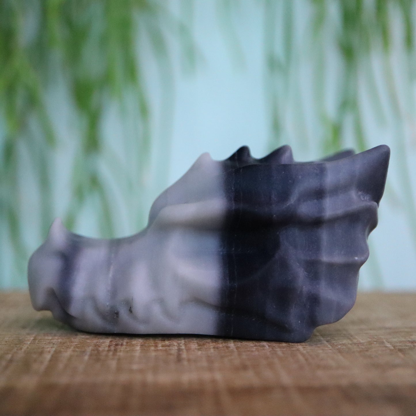 Calciet draken schedel