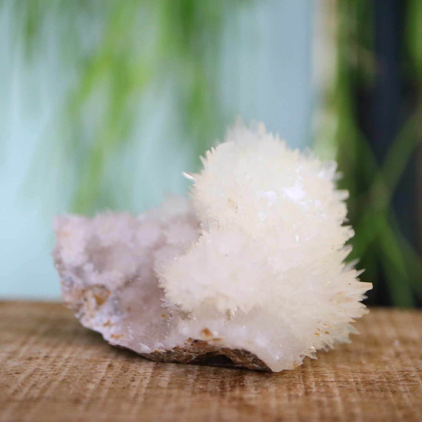 Witte naald Aragoniet