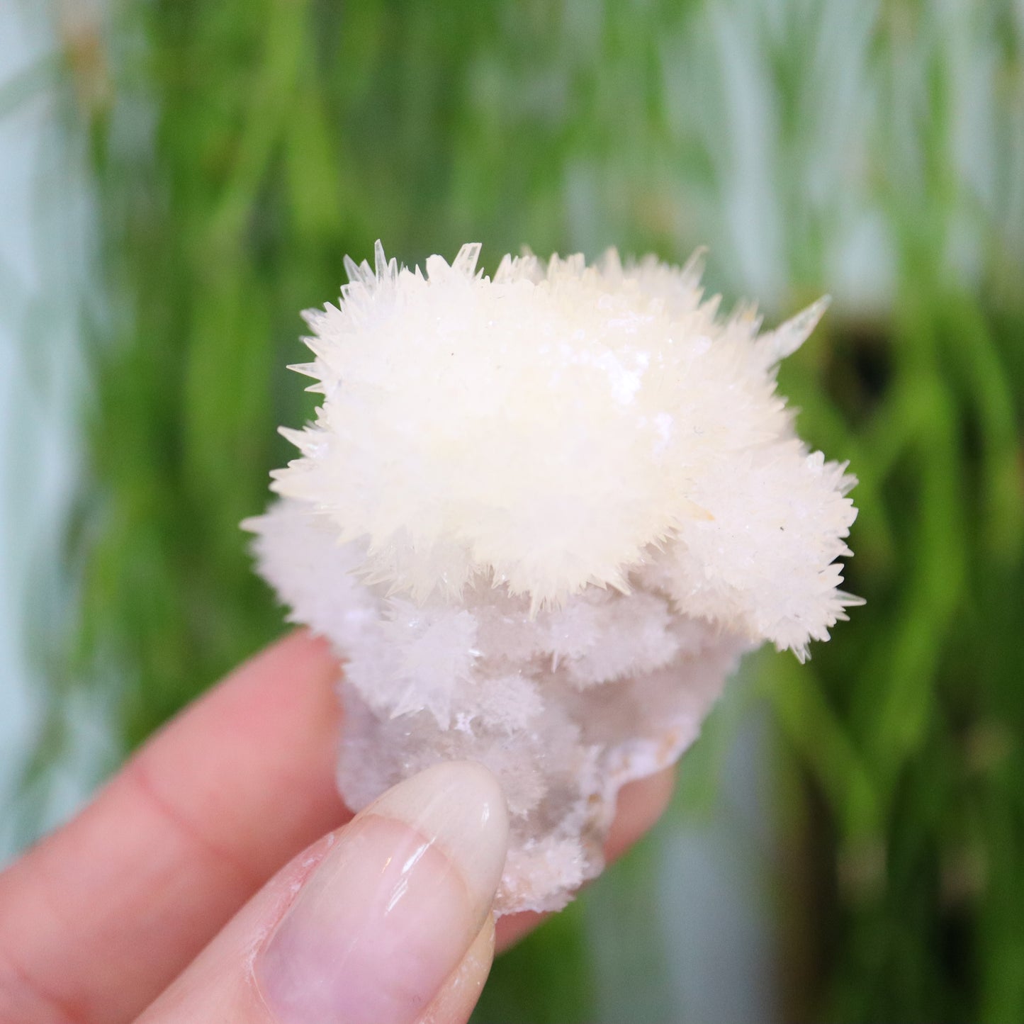 Witte naald Aragoniet