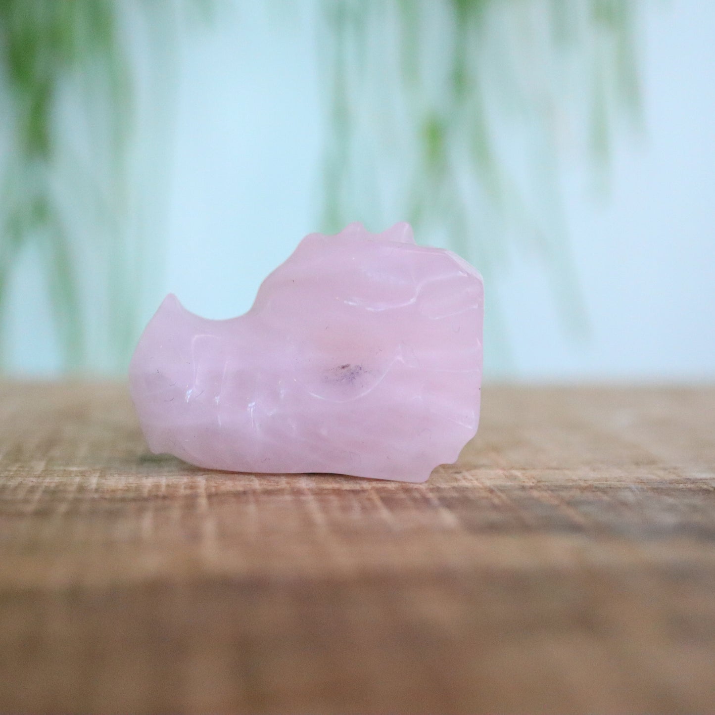 Rozenkwarts draken schedel