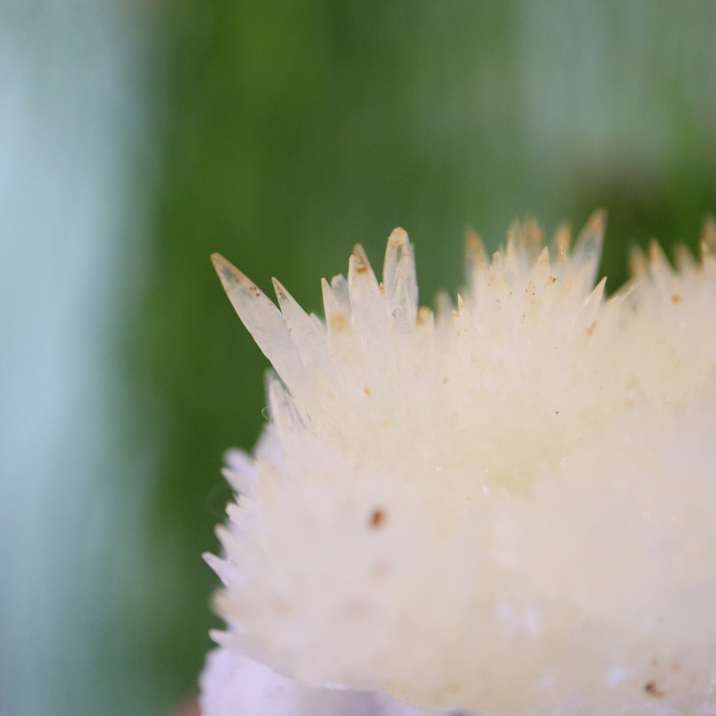 Witte naald Aragoniet