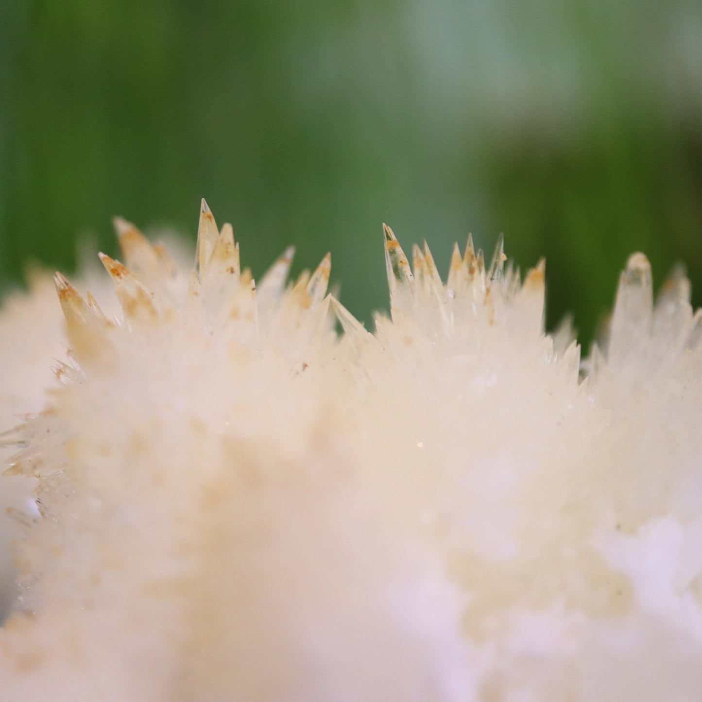 Witte naald Aragoniet