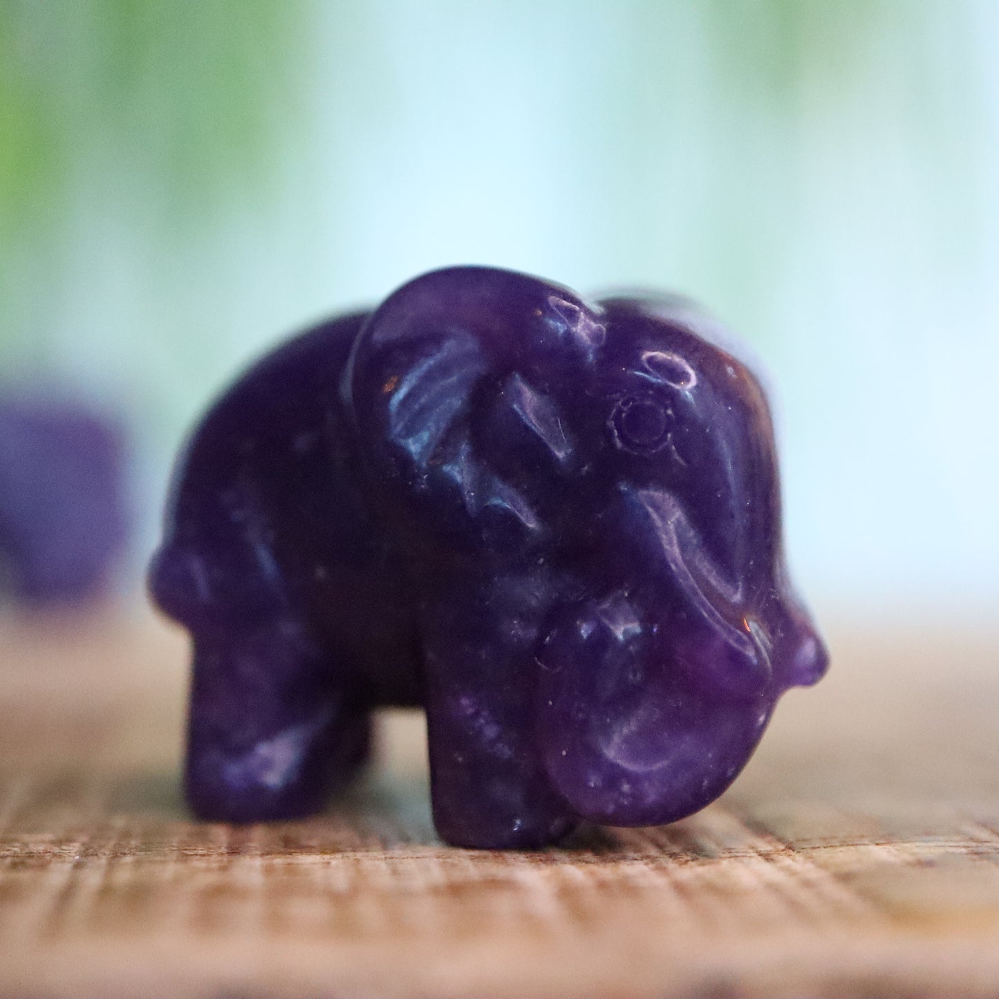 Olifant Lepidoliet