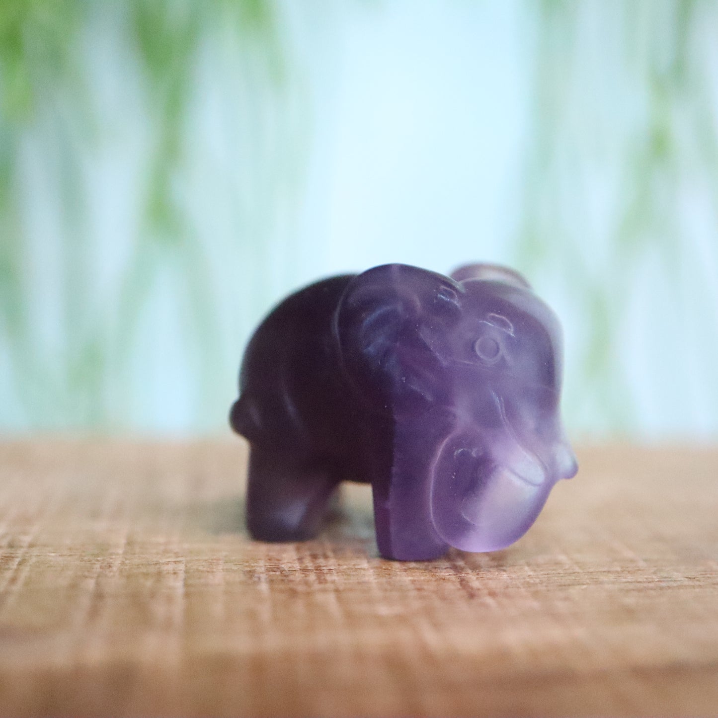Olifant Fluoriet