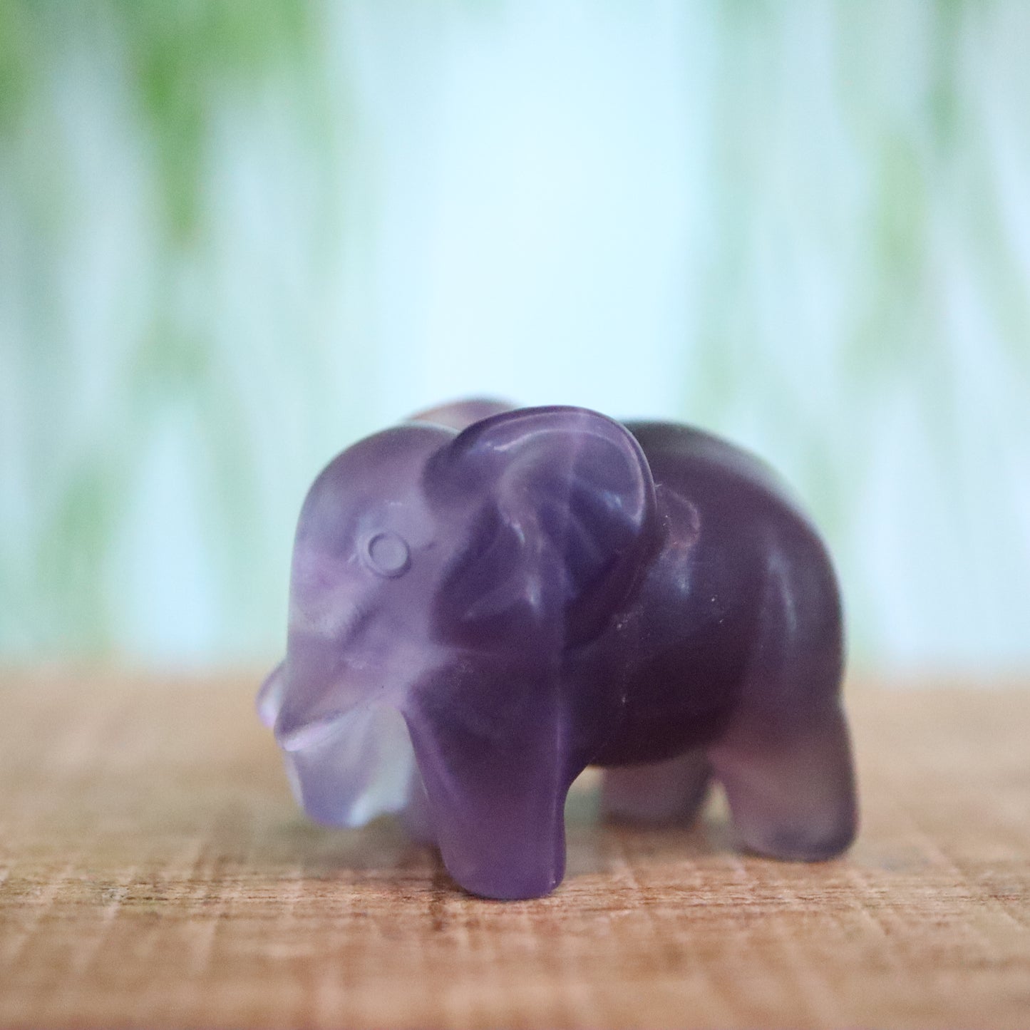 Olifant Fluoriet