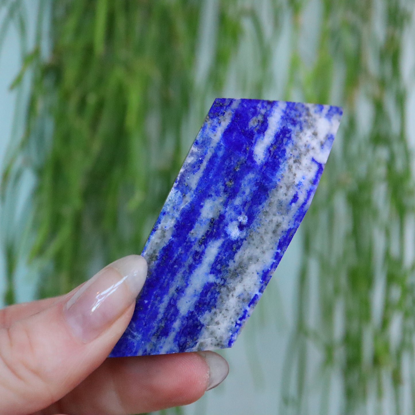 Lapis Lazuli Vrijevorm