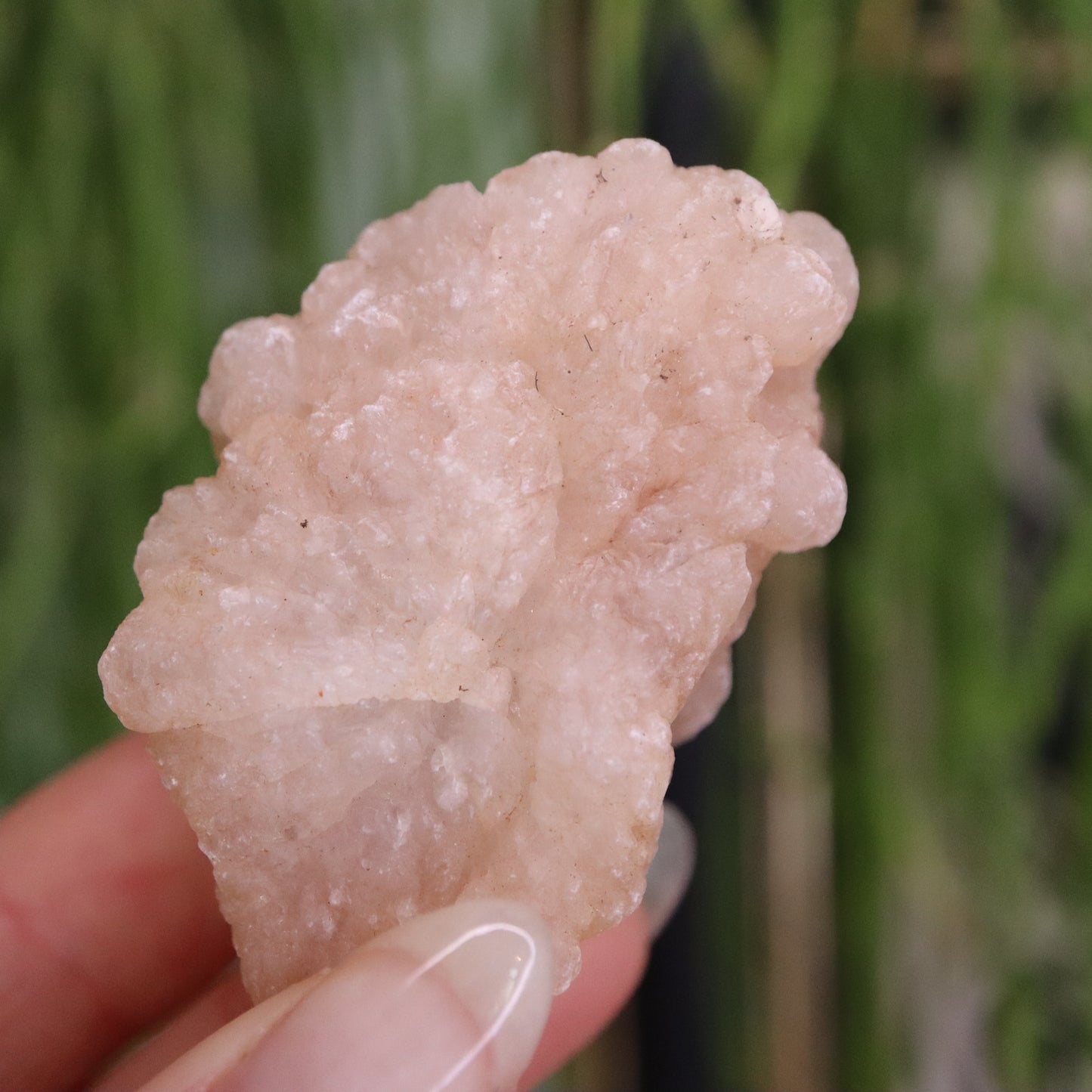 Gekristalliseerde rozenkwarts