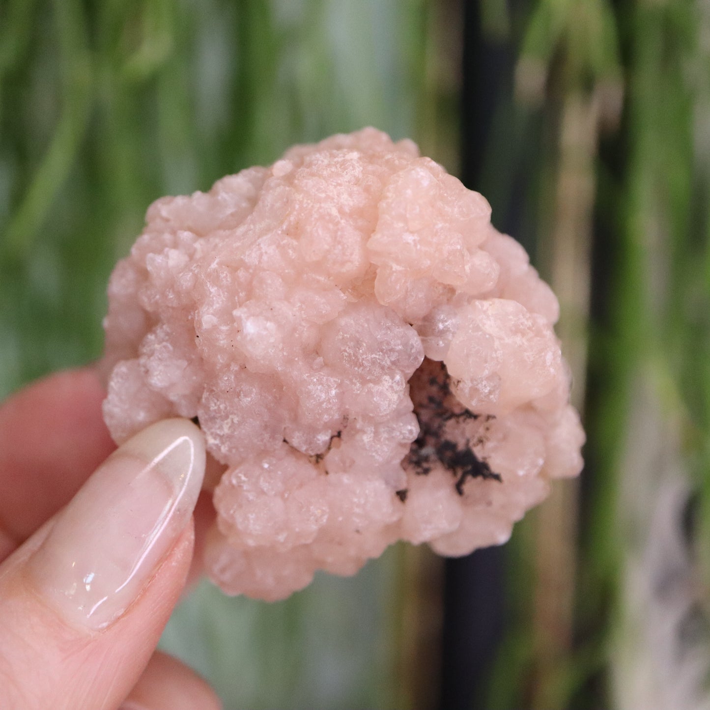 Gekristalliseerde rozenkwarts