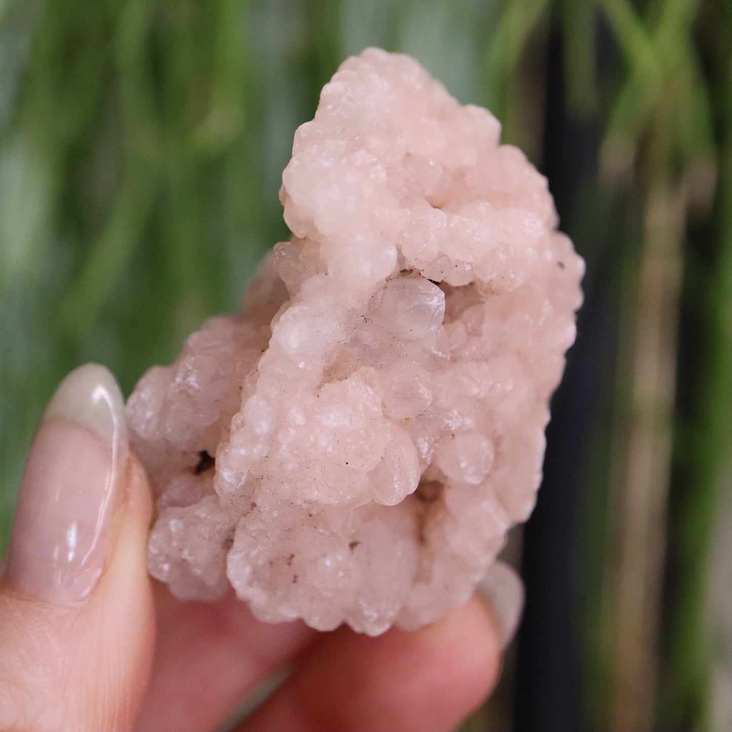 Gekristalliseerde rozenkwarts