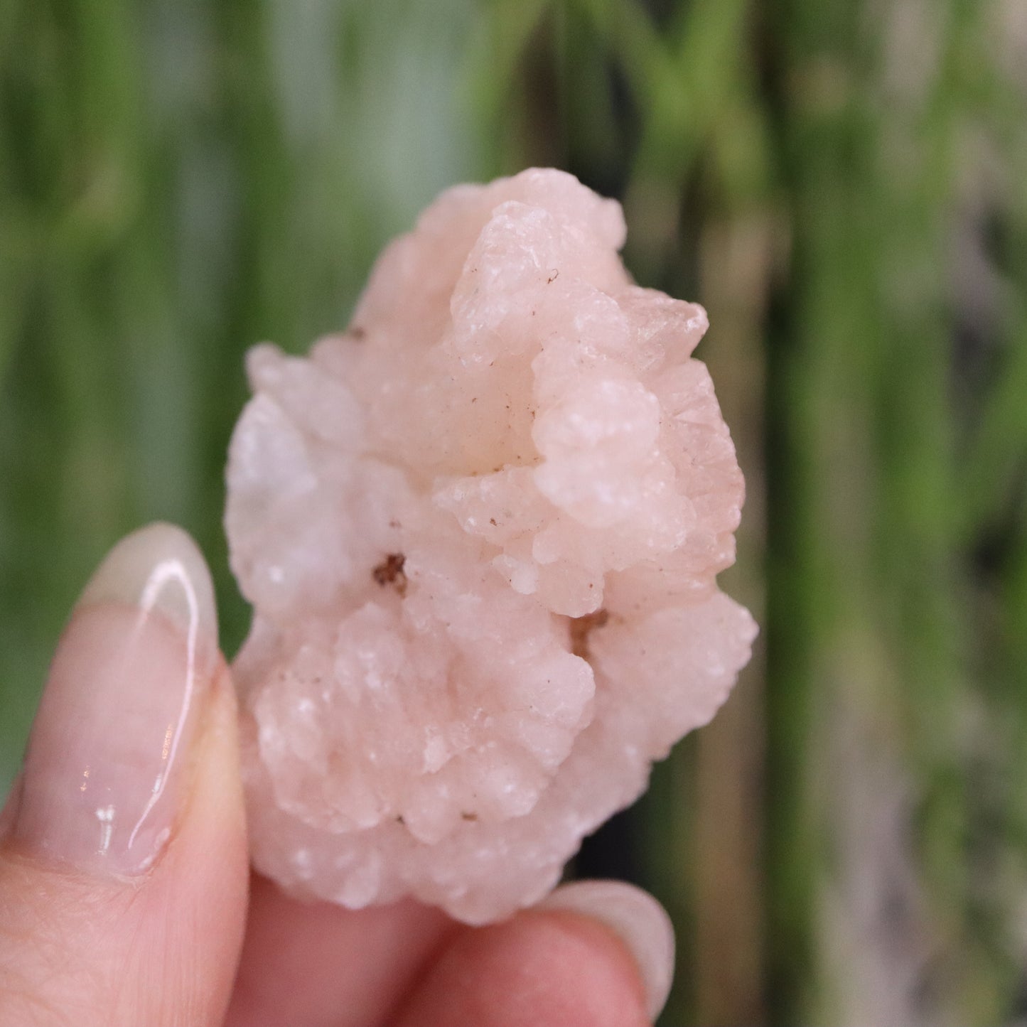 Gekristalliseerde rozenkwarts