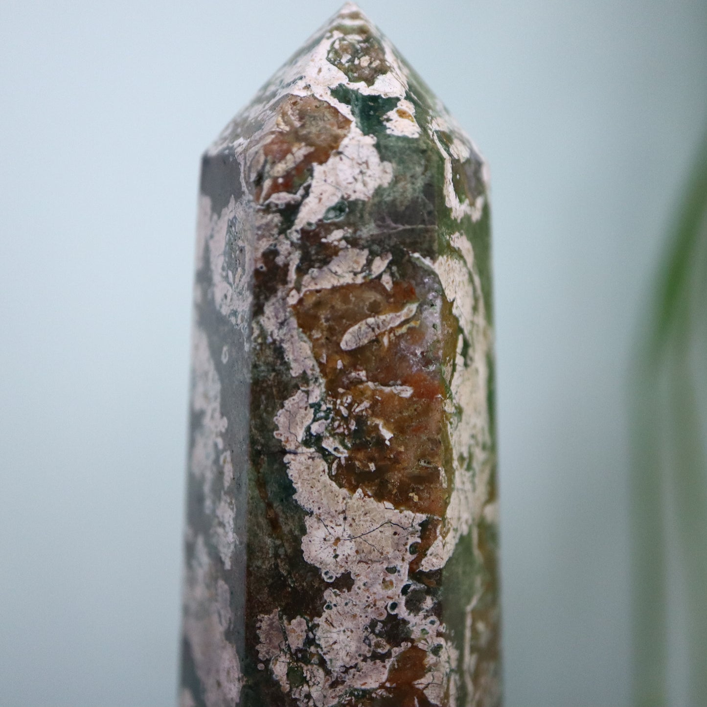 groene kersenbloesem ''rhyoliet''