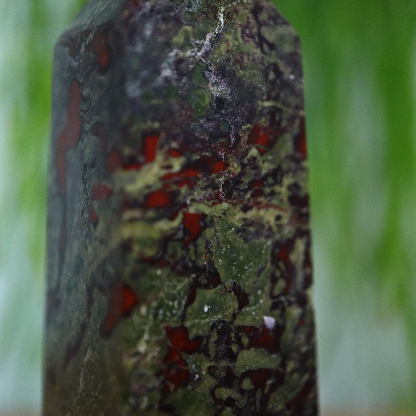 Drakenbloed jasper