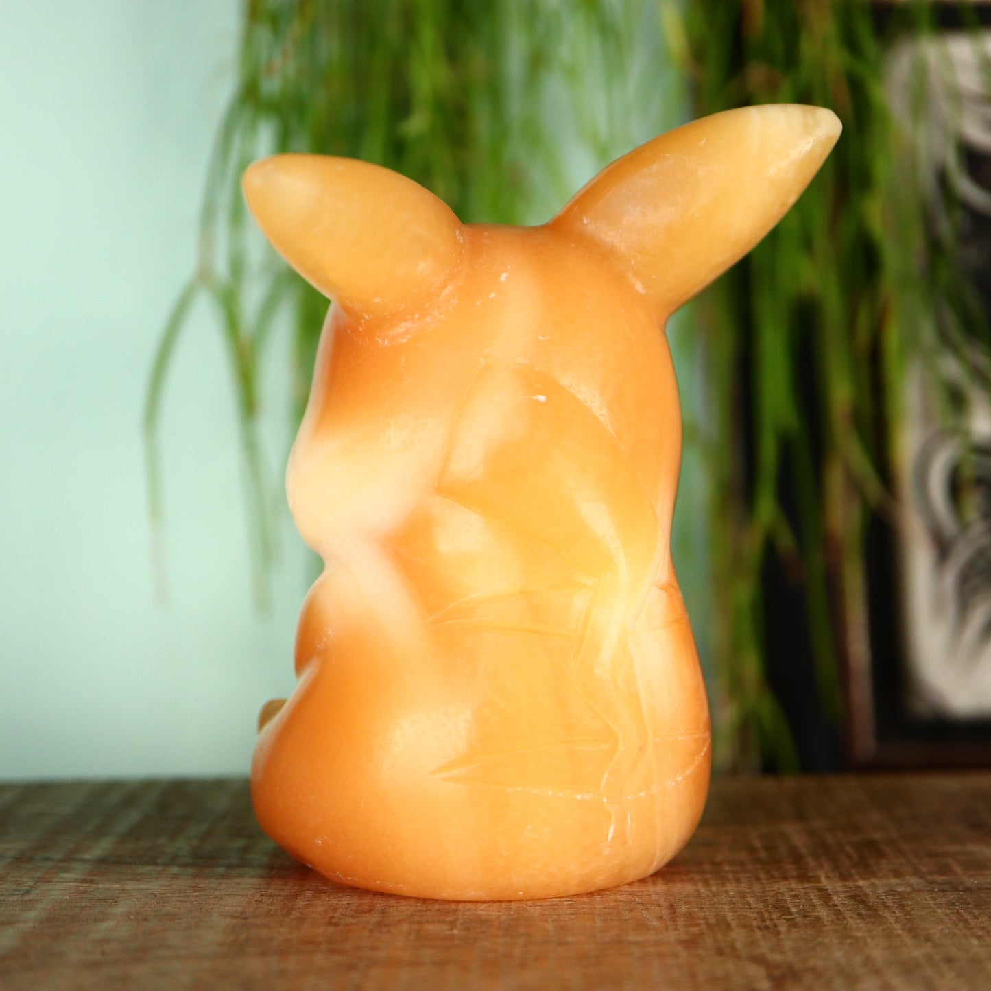 Pikachu Calciet