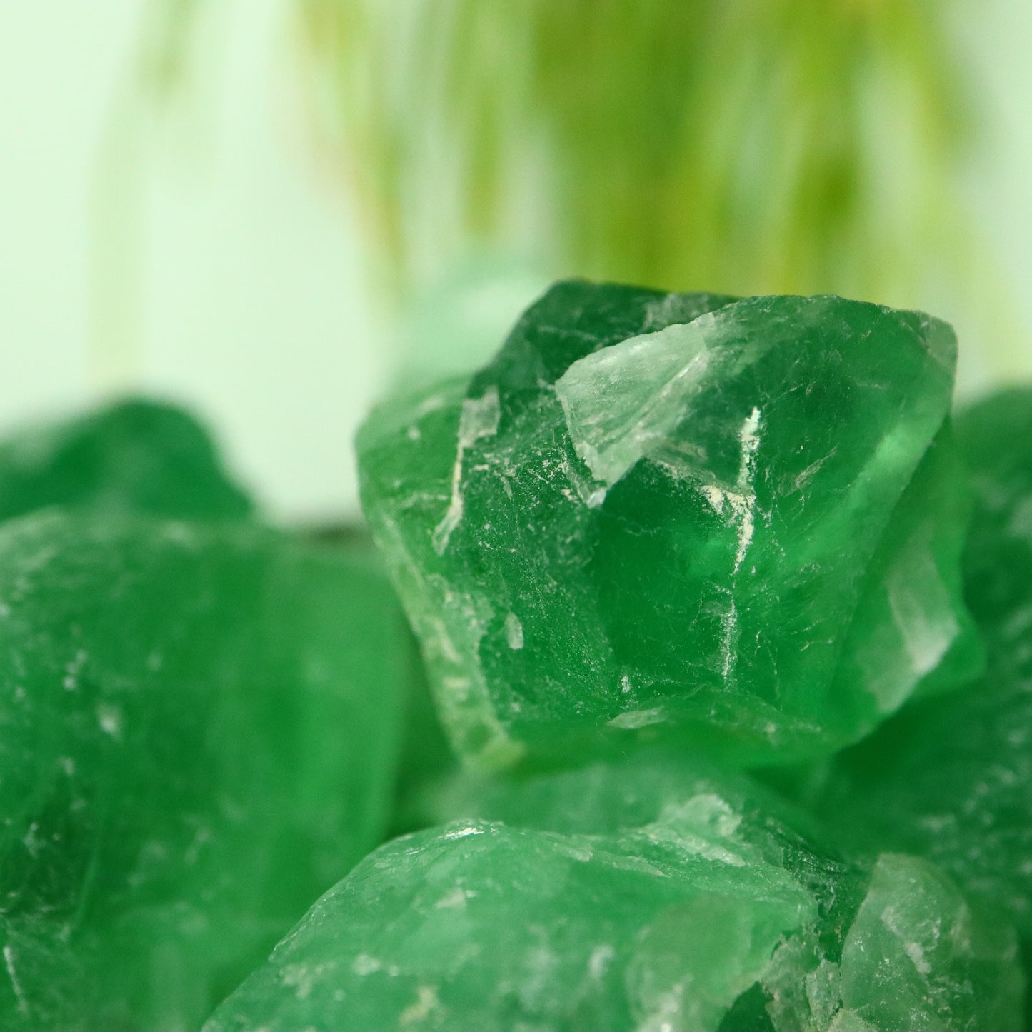 Groene fluoriet