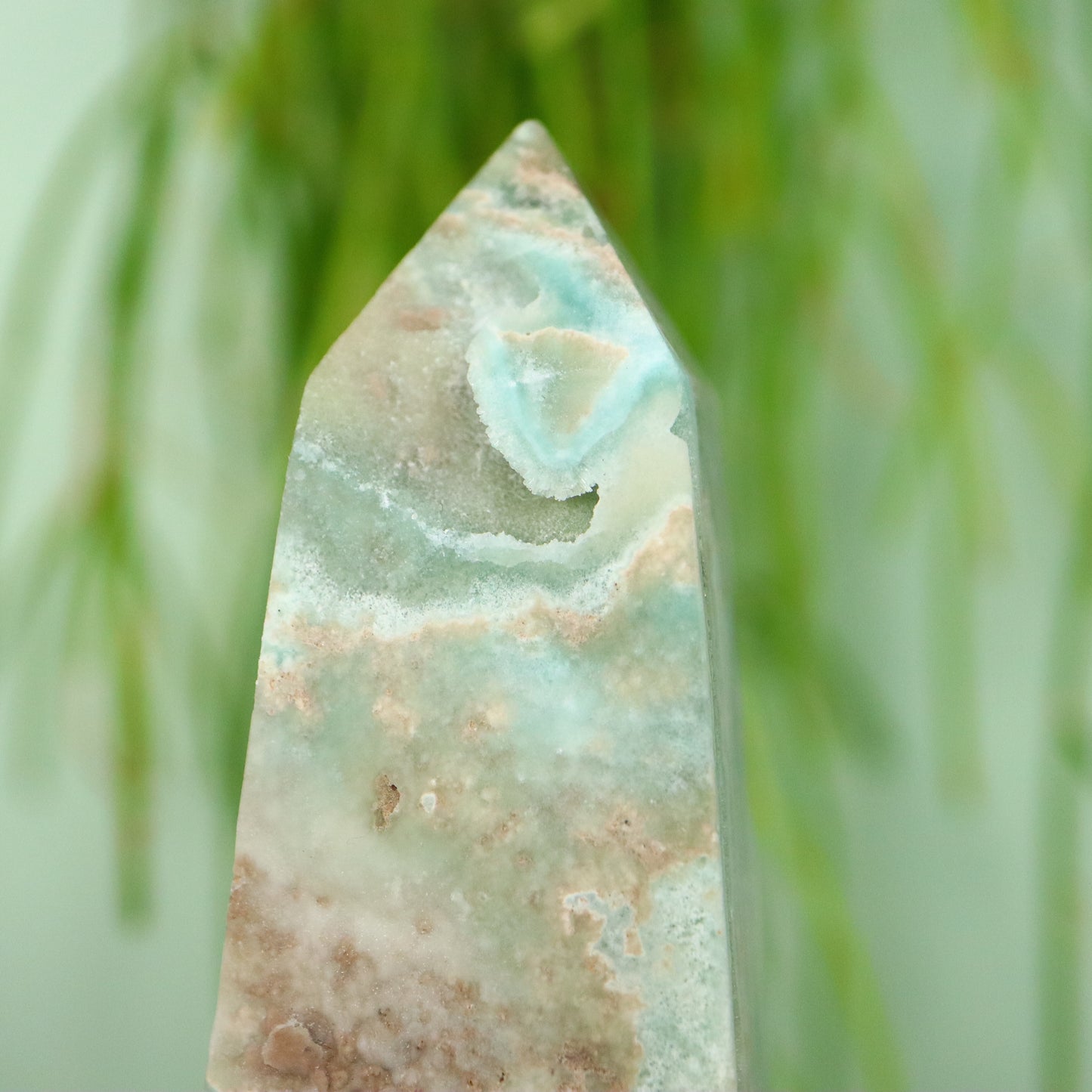 Caribbean Calciet toren