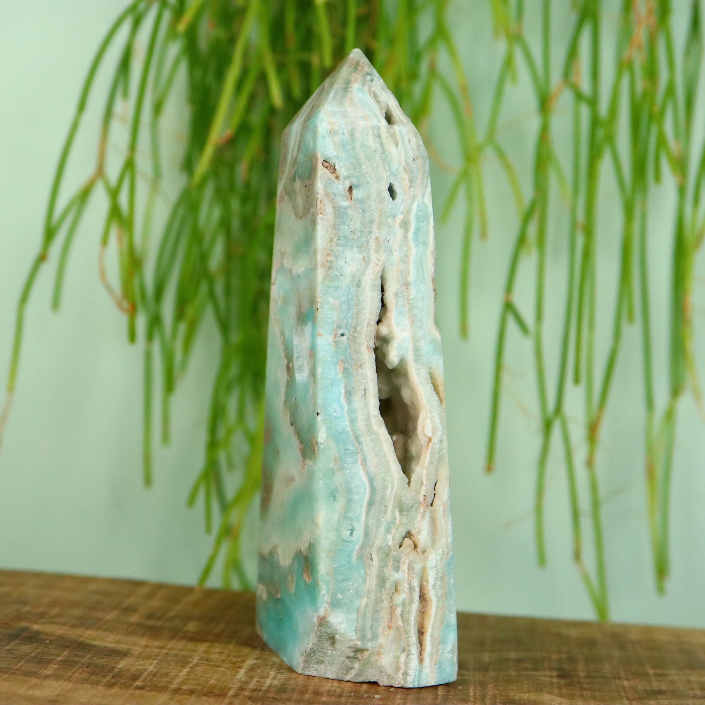 Caribbean Calciet toren