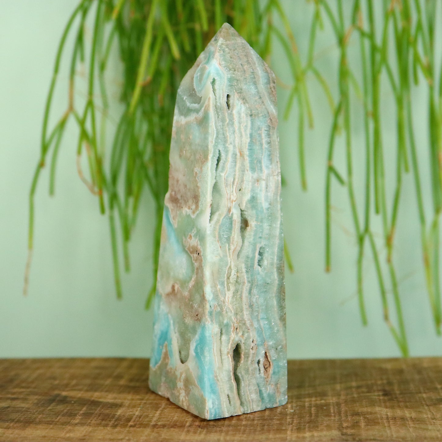 Caribbean Calciet toren