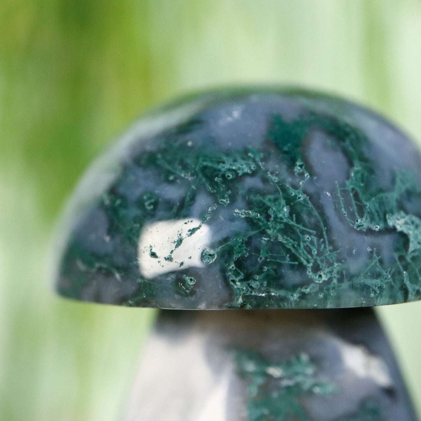 Mos agaat paddenstoel