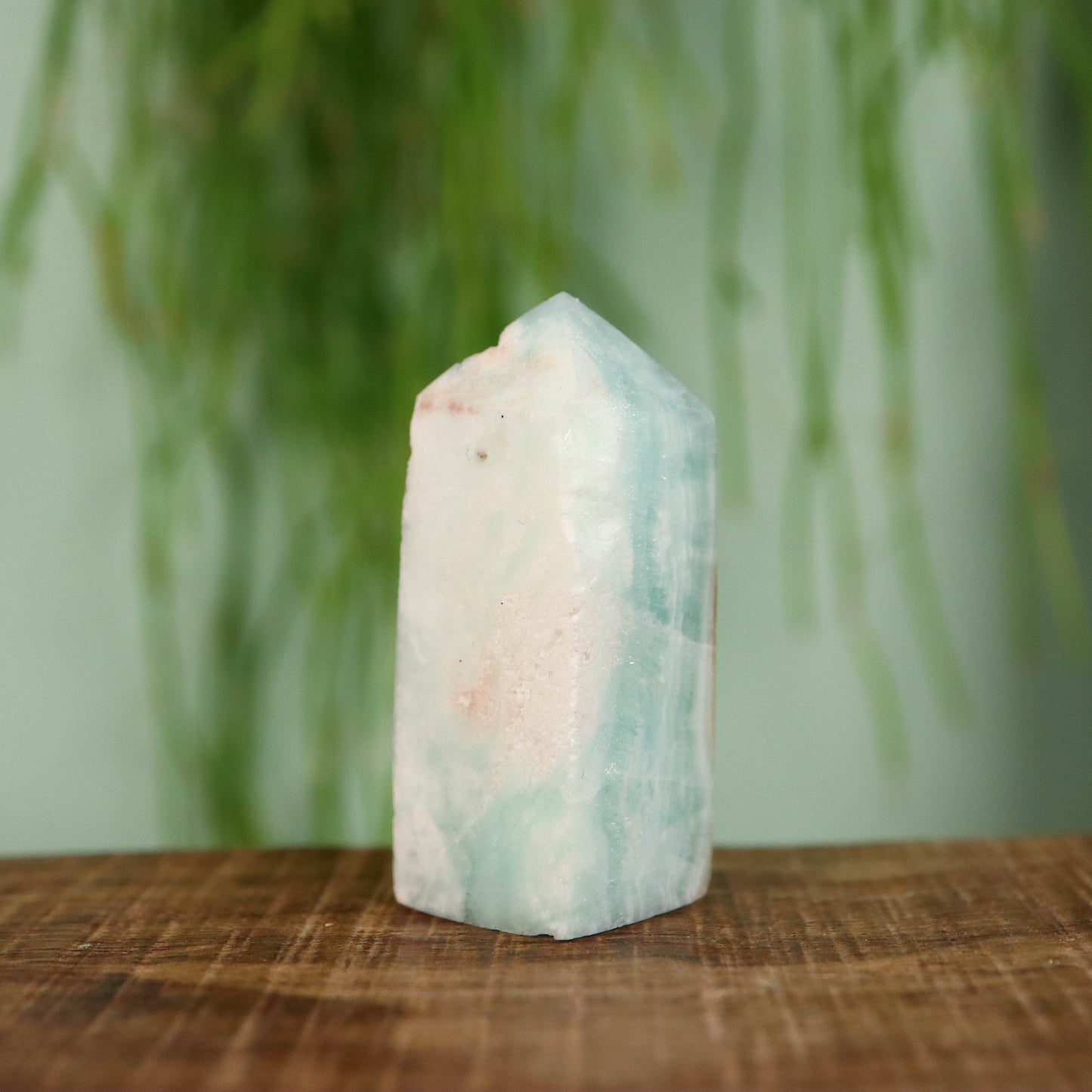 Caribbean Calciet toren