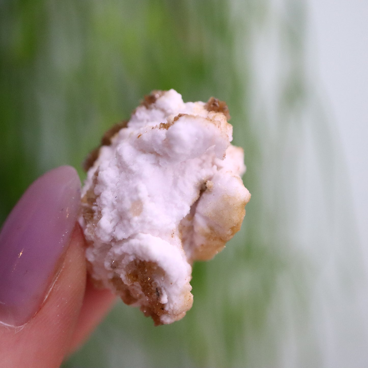 Popcorn Seleniet