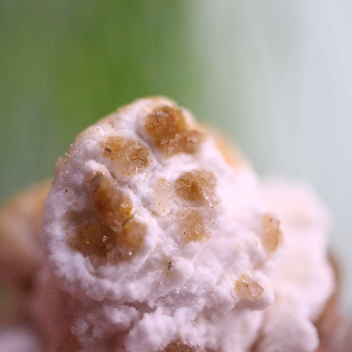 Popcorn Seleniet