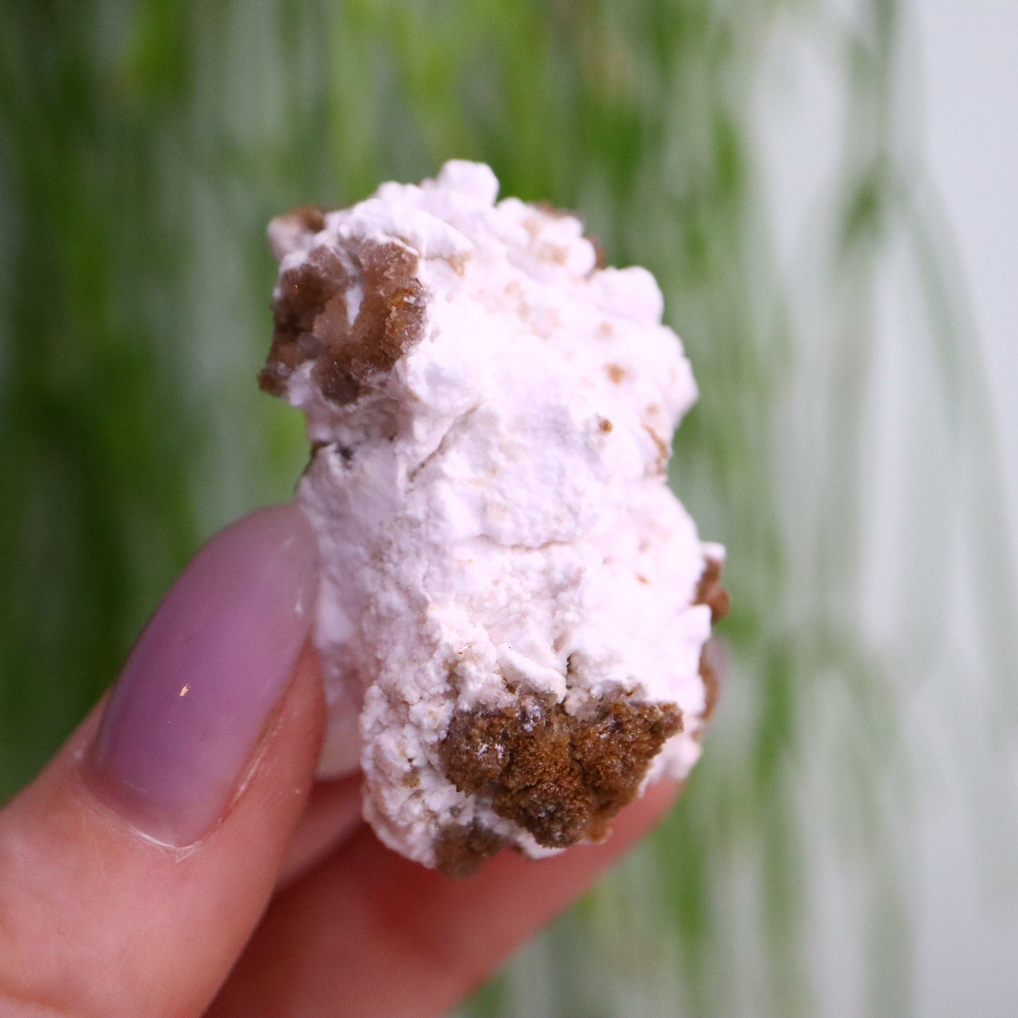 Popcorn Seleniet
