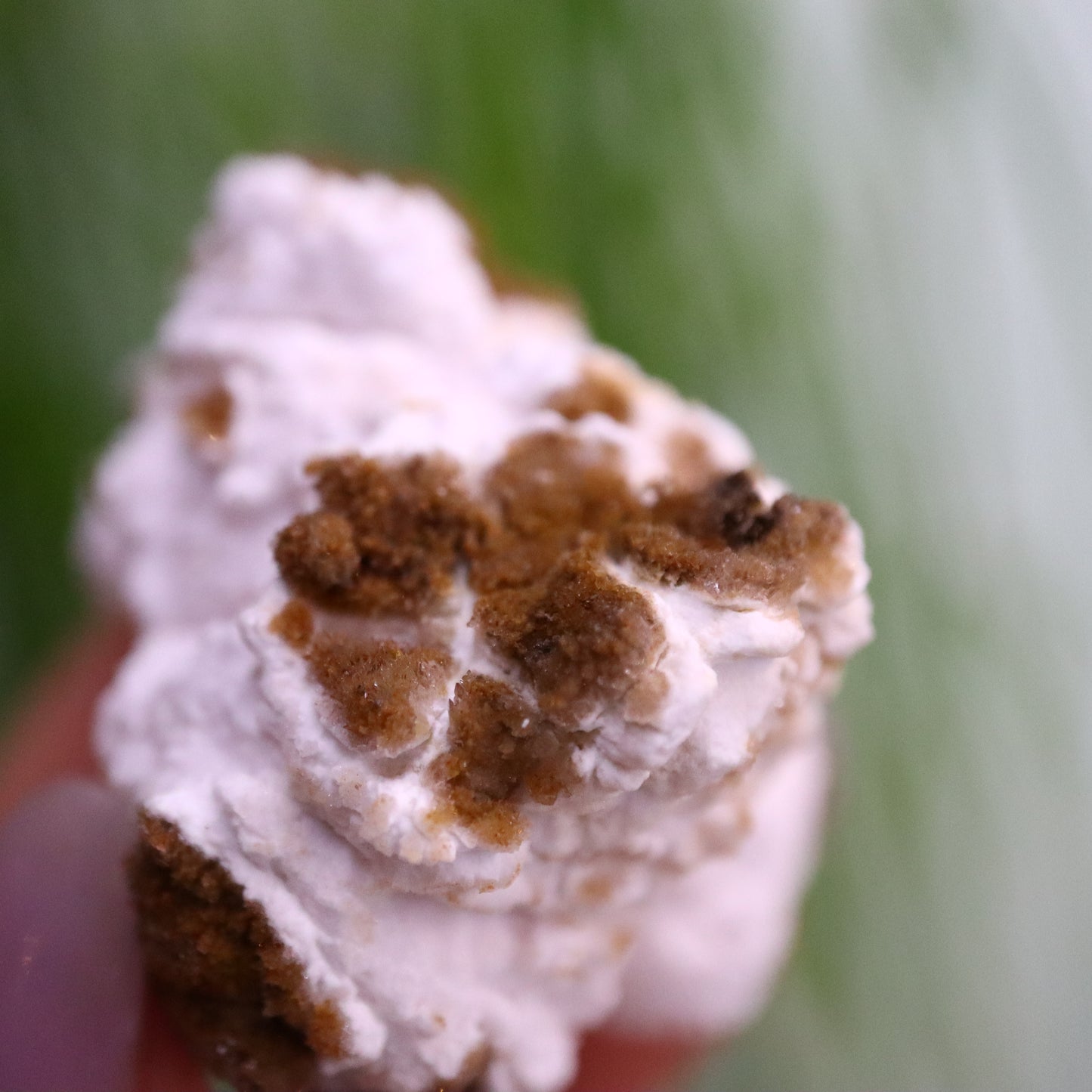 Popcorn Seleniet