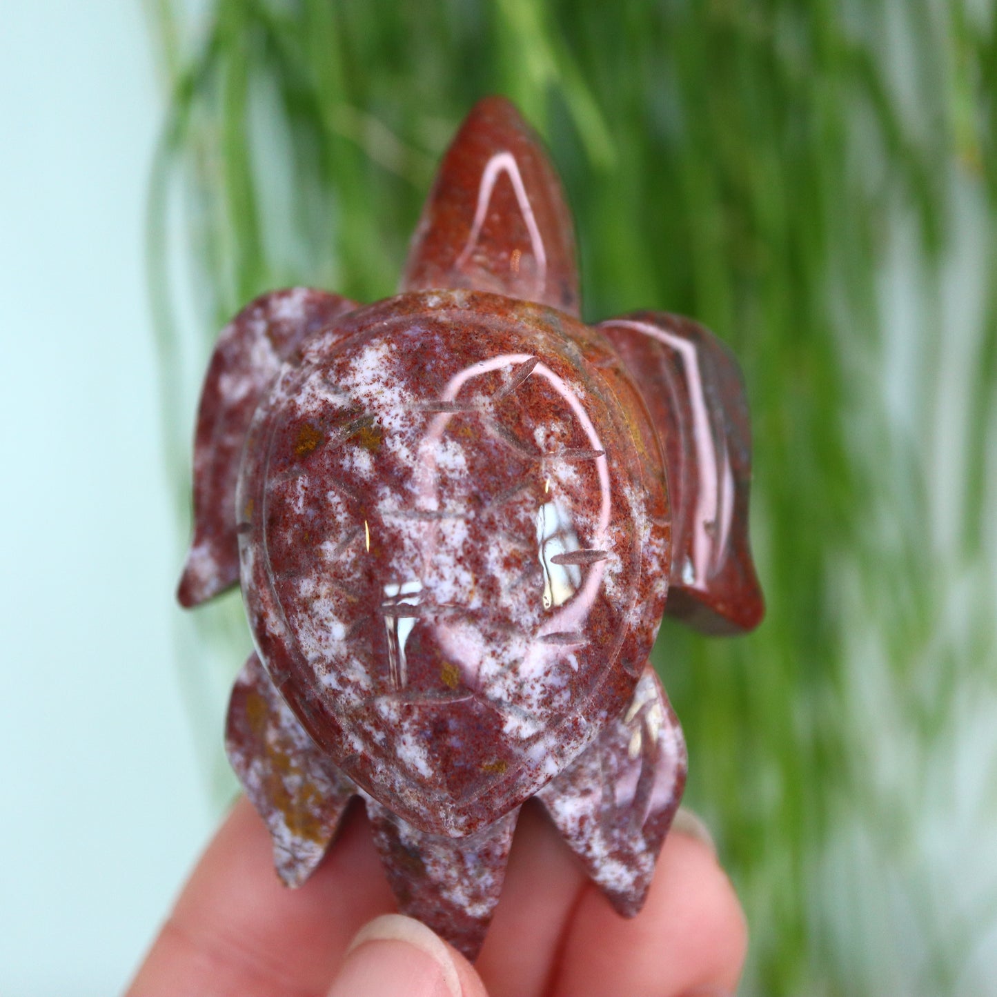 Oceaan jasper schildpad