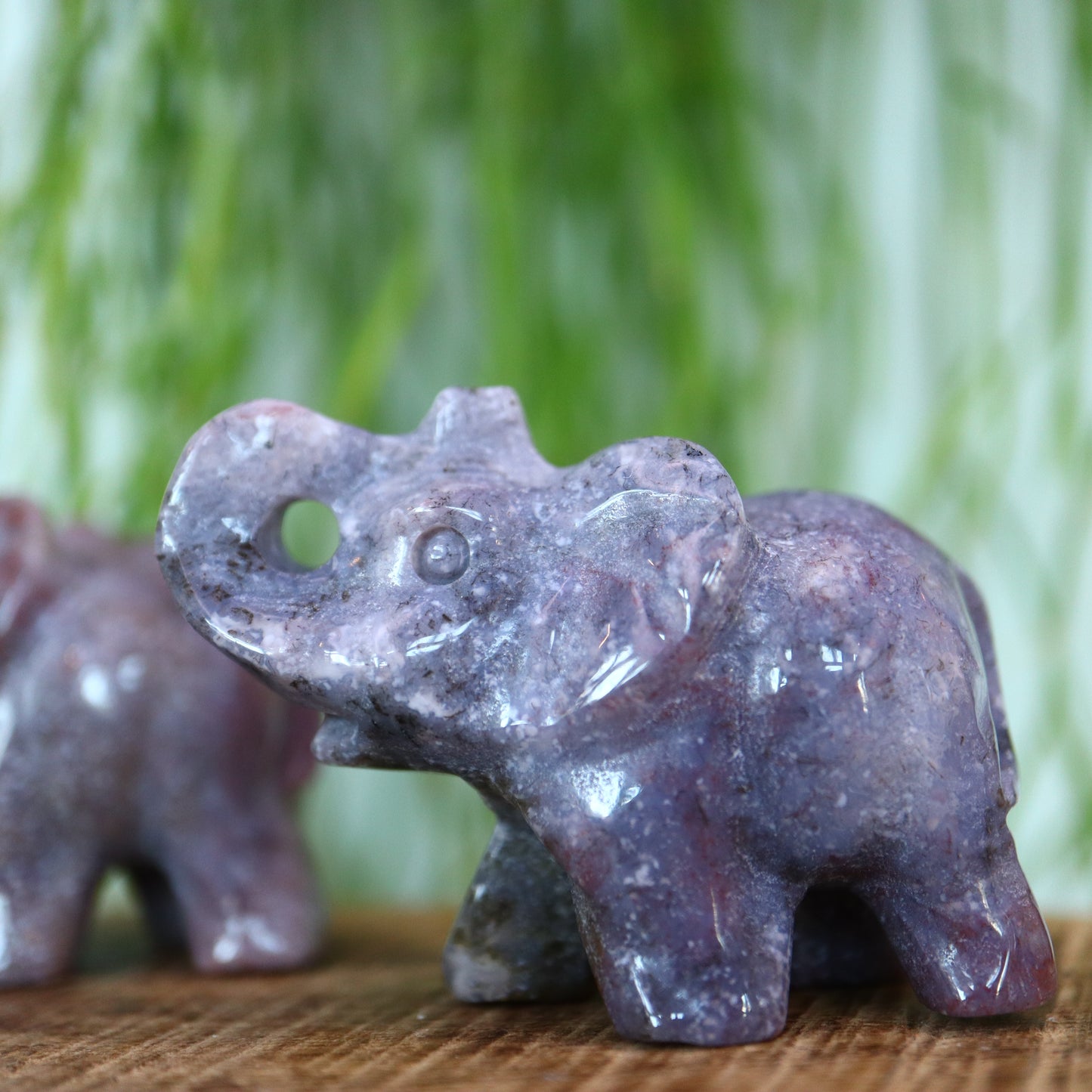 Oceaan jasper olifant