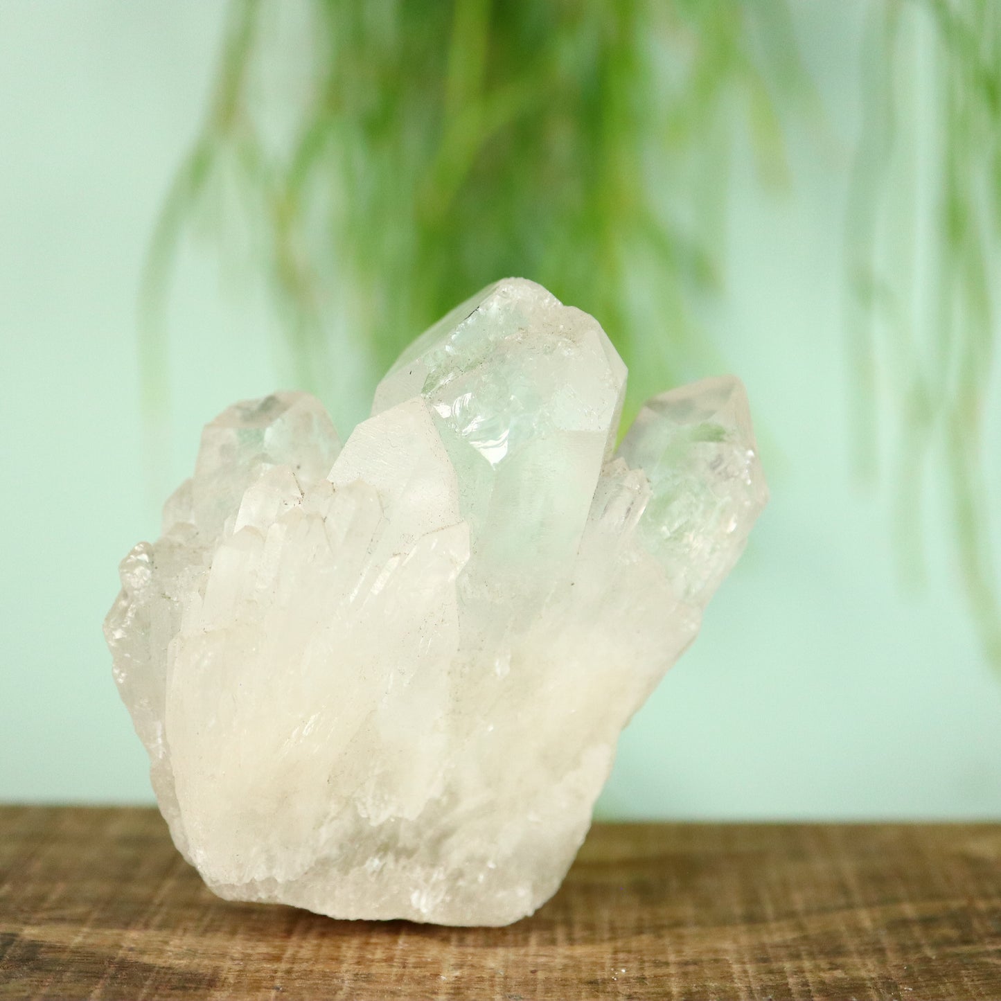 Bergkristal artichoke Kwarts cluster