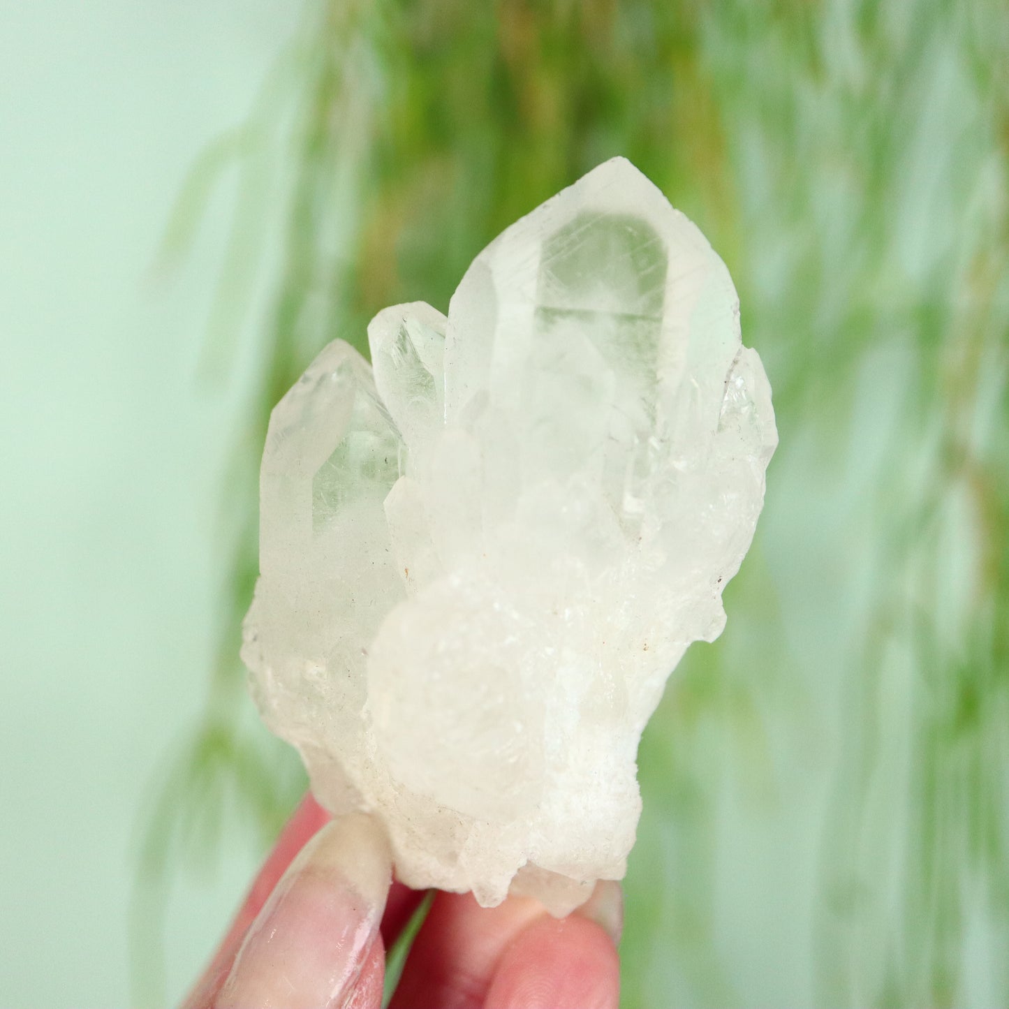 Bergkristal artichoke Kwarts cluster