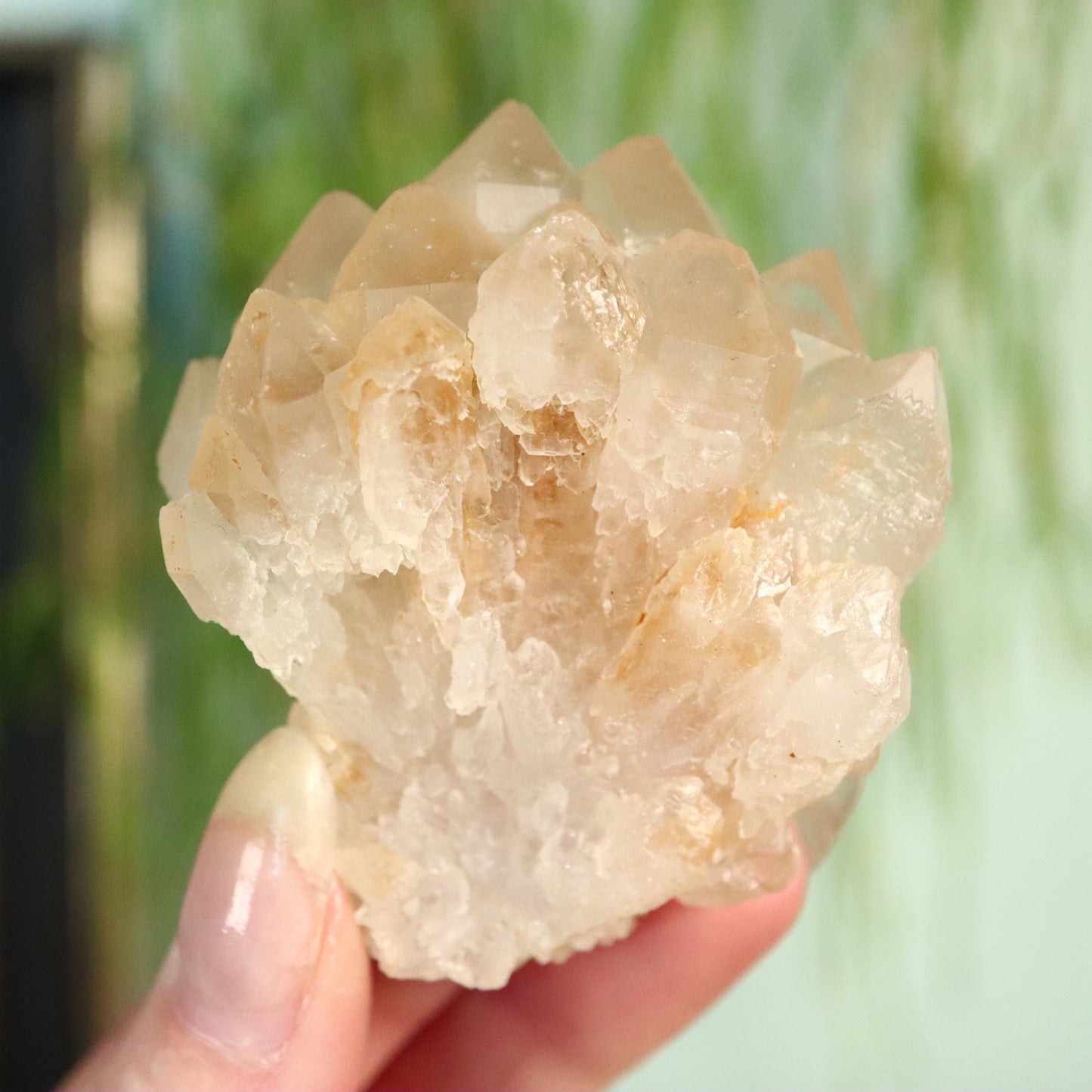 Madagaskar DT kwarts cluster