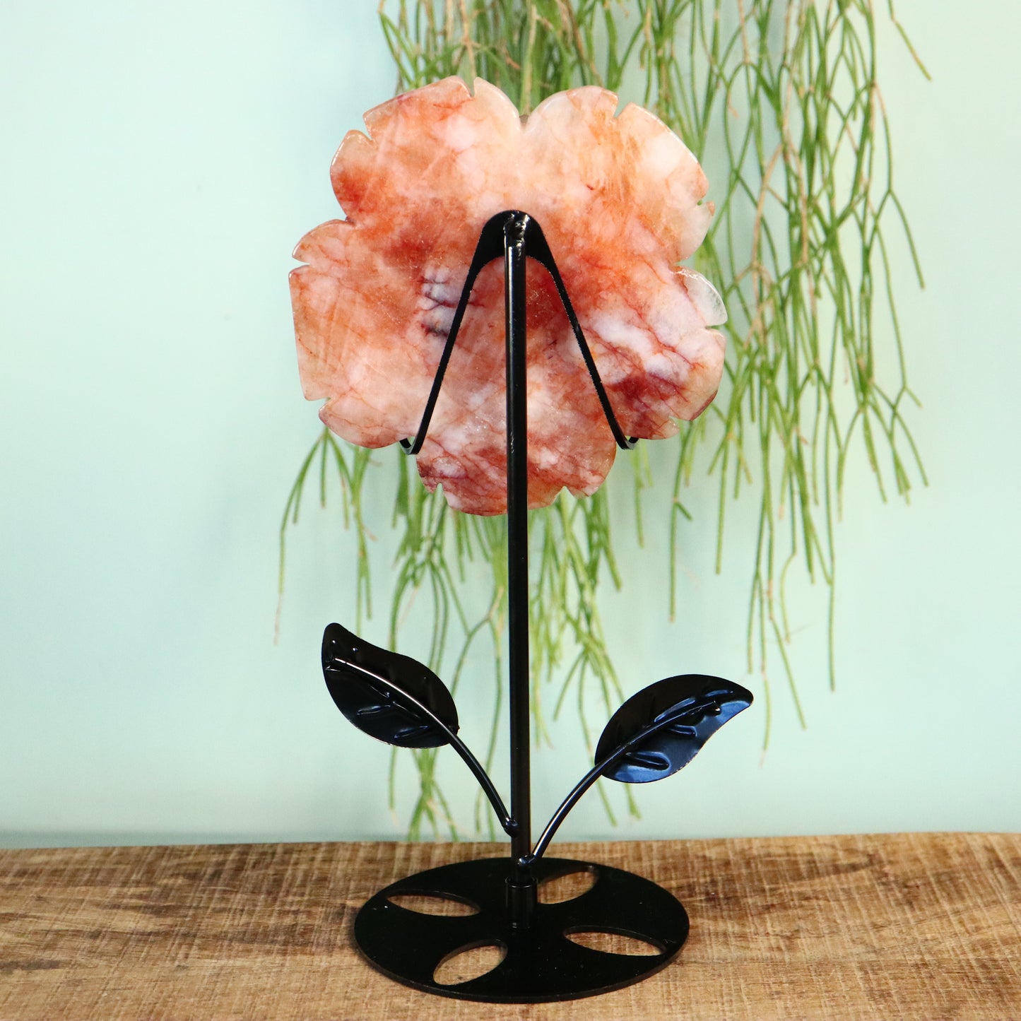 Bloem Hematoide kwarts ‘Red Healer/vuurkwarts’