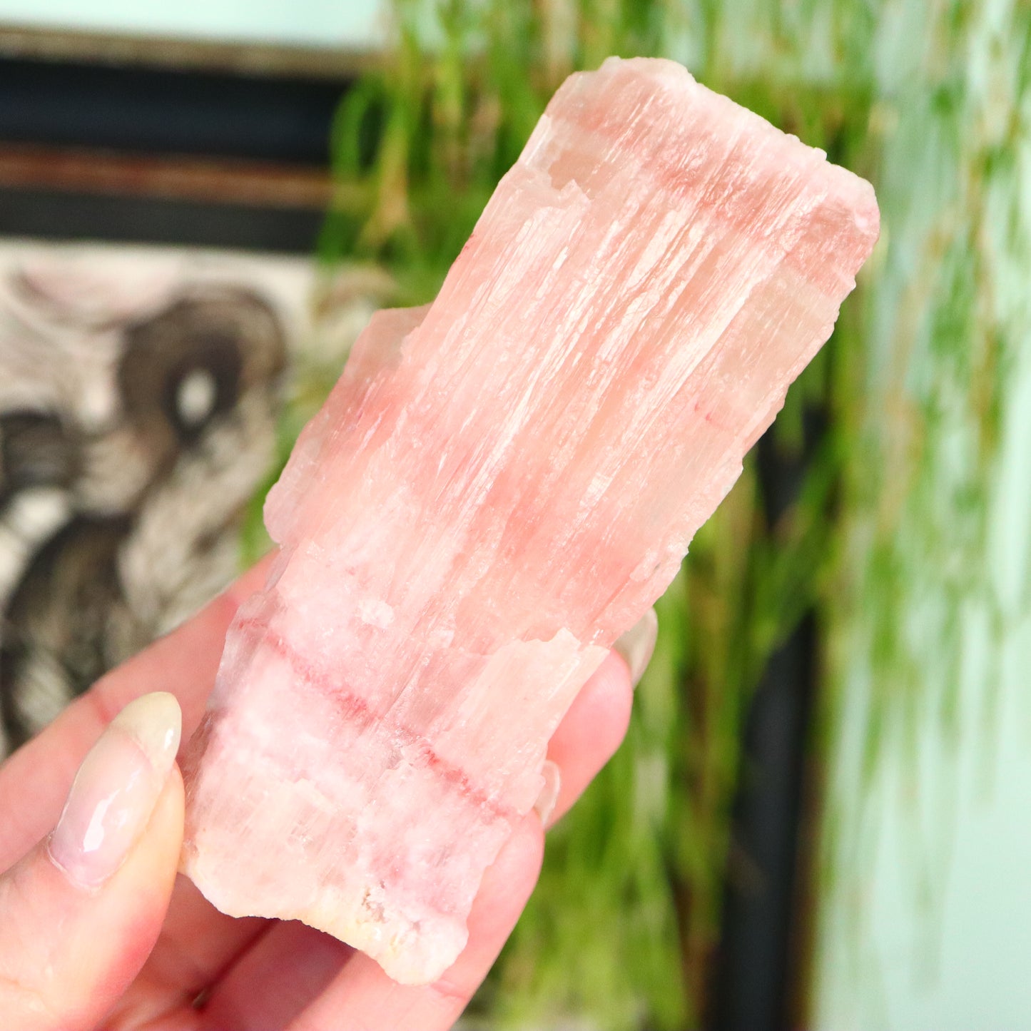 Ruwe Roze calciet