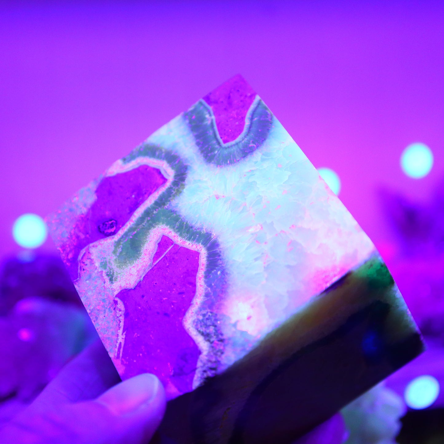 Septarie kubus UV