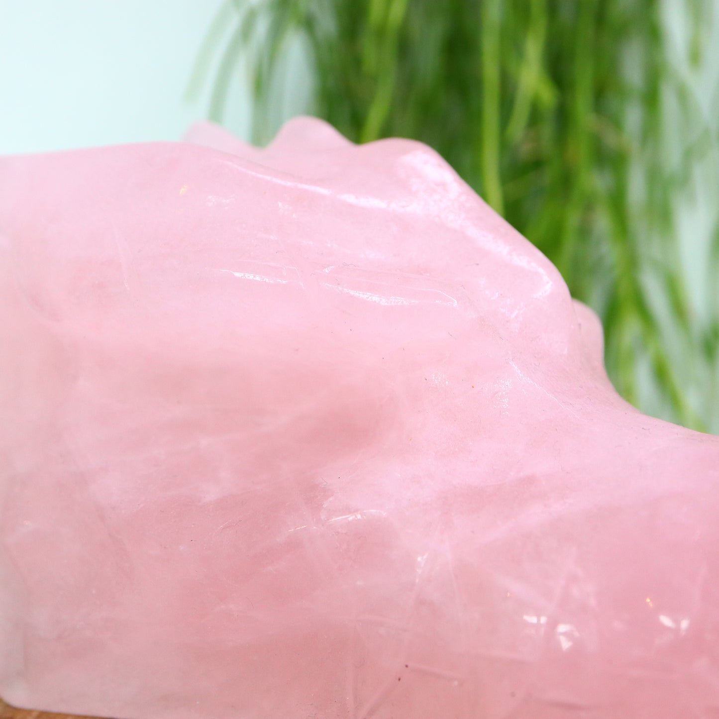 Draken schedel Rozenkwarts XL