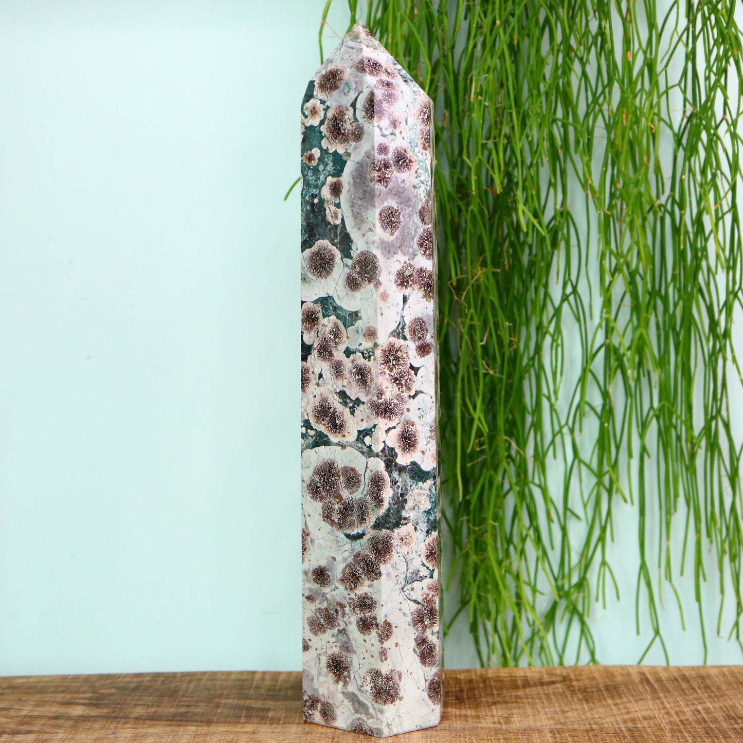 Sakura Kersenbloesem