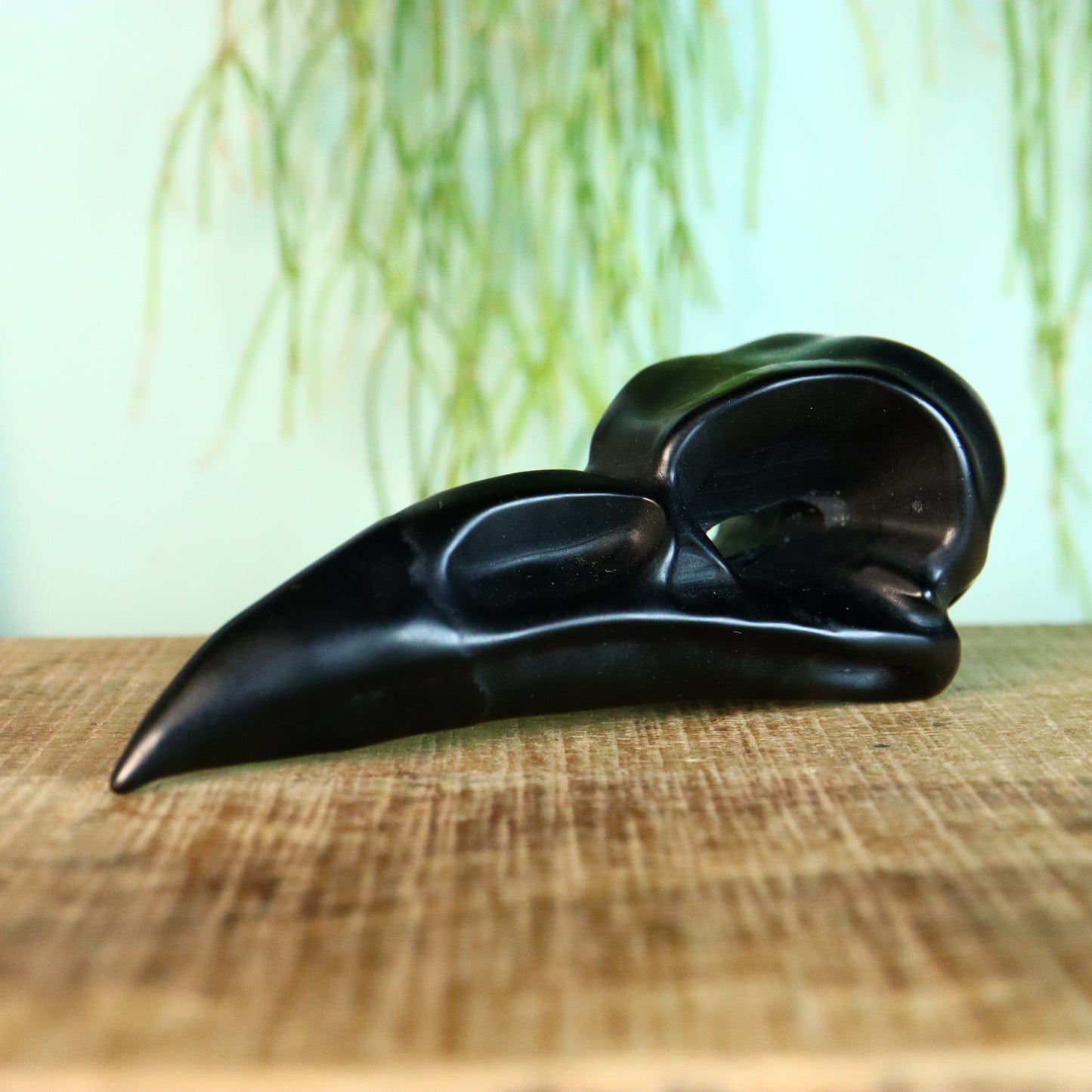 Raaf schedel obsidiaan