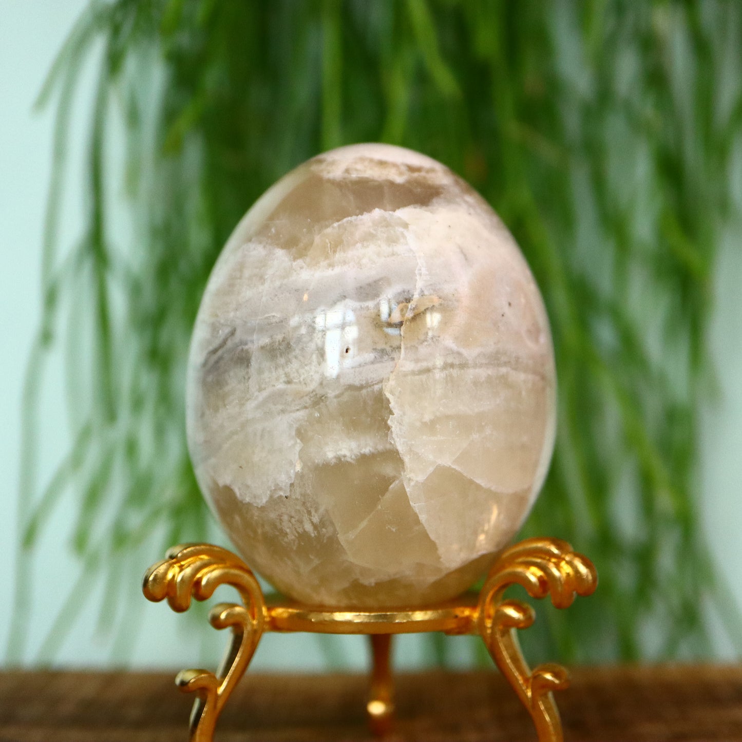 Calciet ei