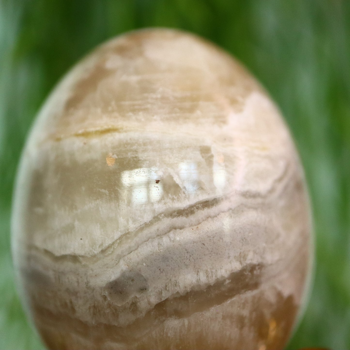 Calciet ei