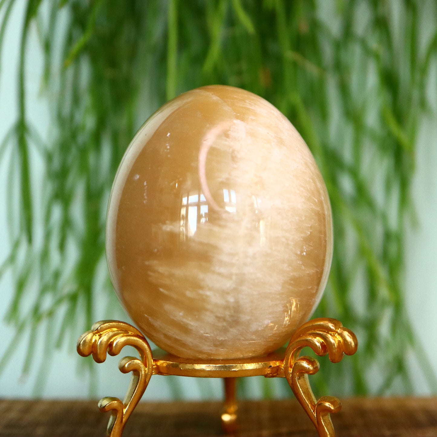 Calciet ei